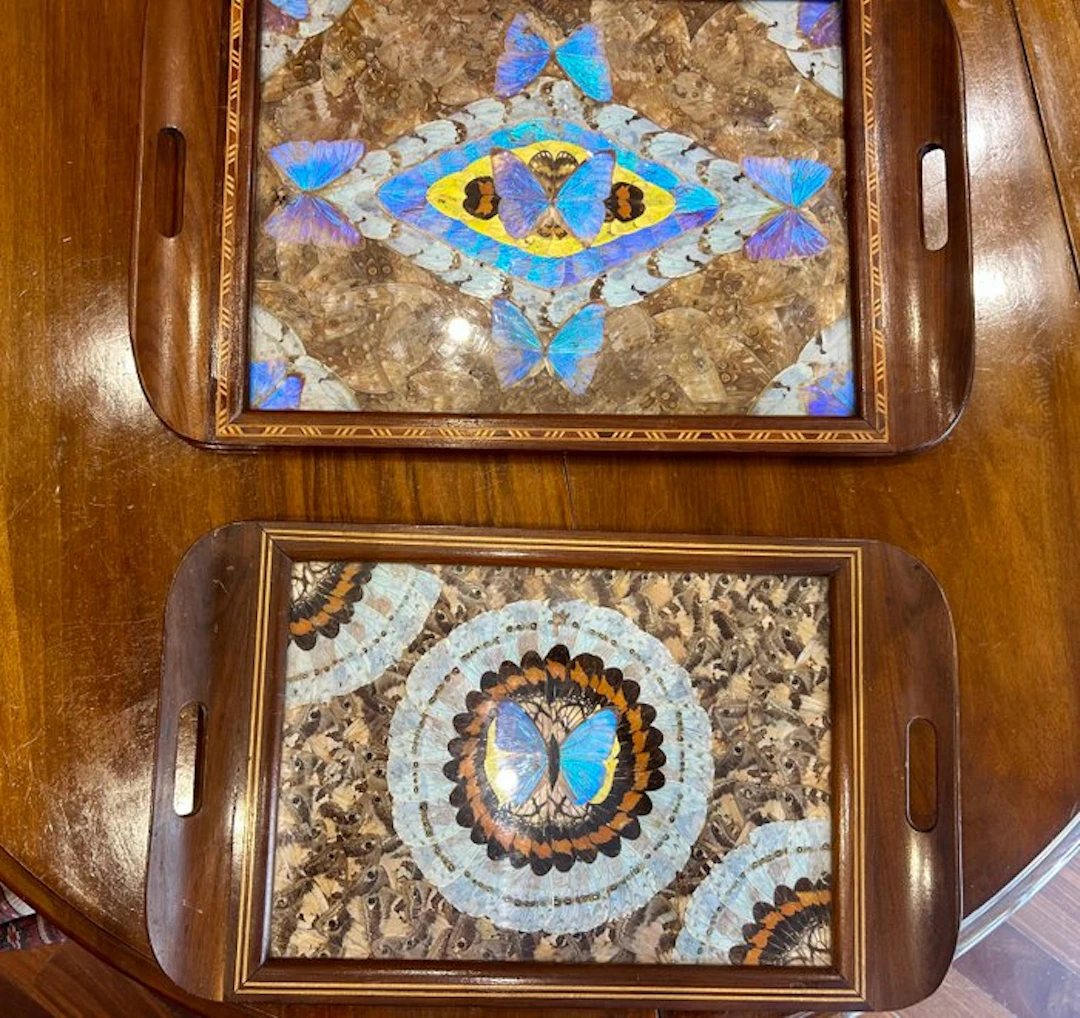 Tray (2) - Pair of Vintage Brazilian Wooden Inlaid Trays...