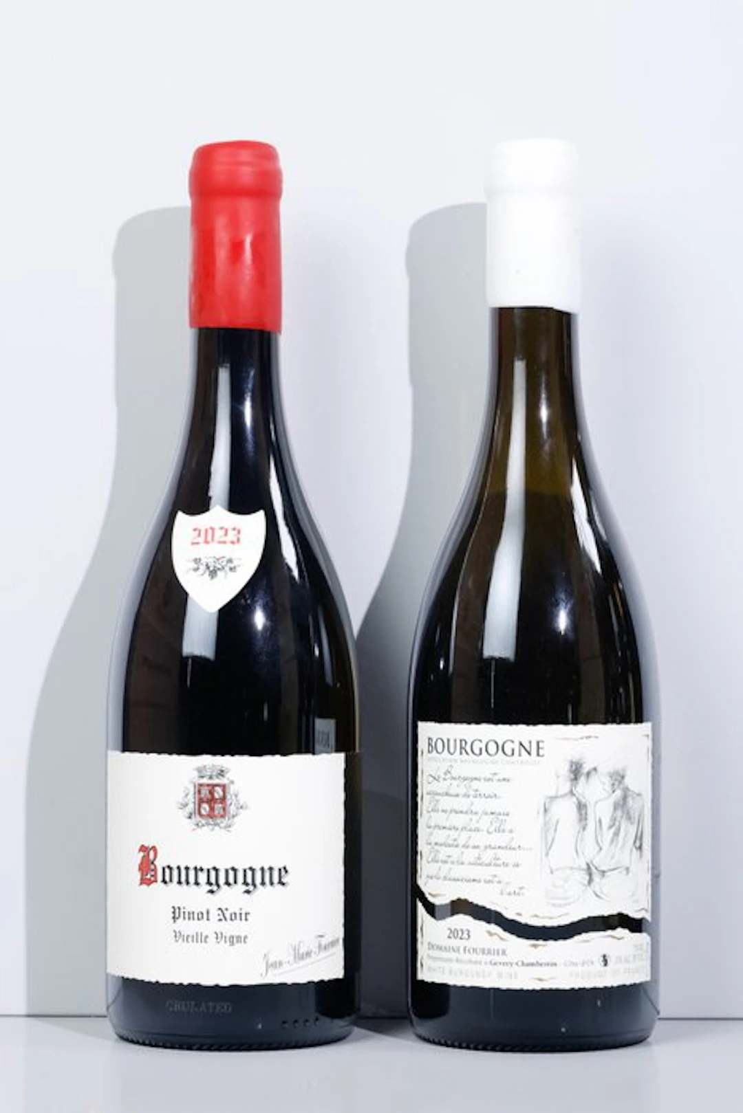 2023 Jean-Marie Fourrier, Bourgogne Rouge & Blanc - Burgundy - 2 Bottles