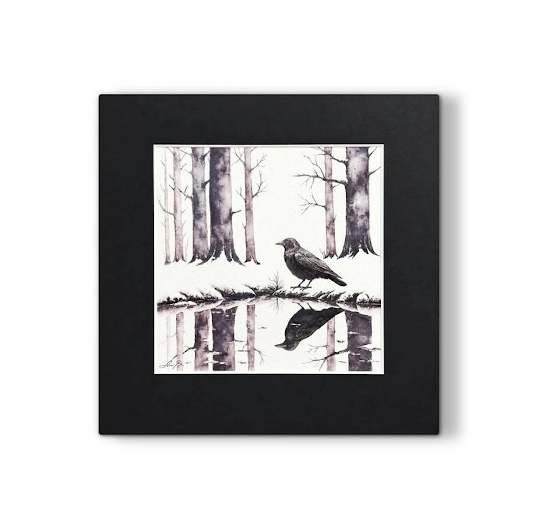 AniB. - RAVEN Reflection