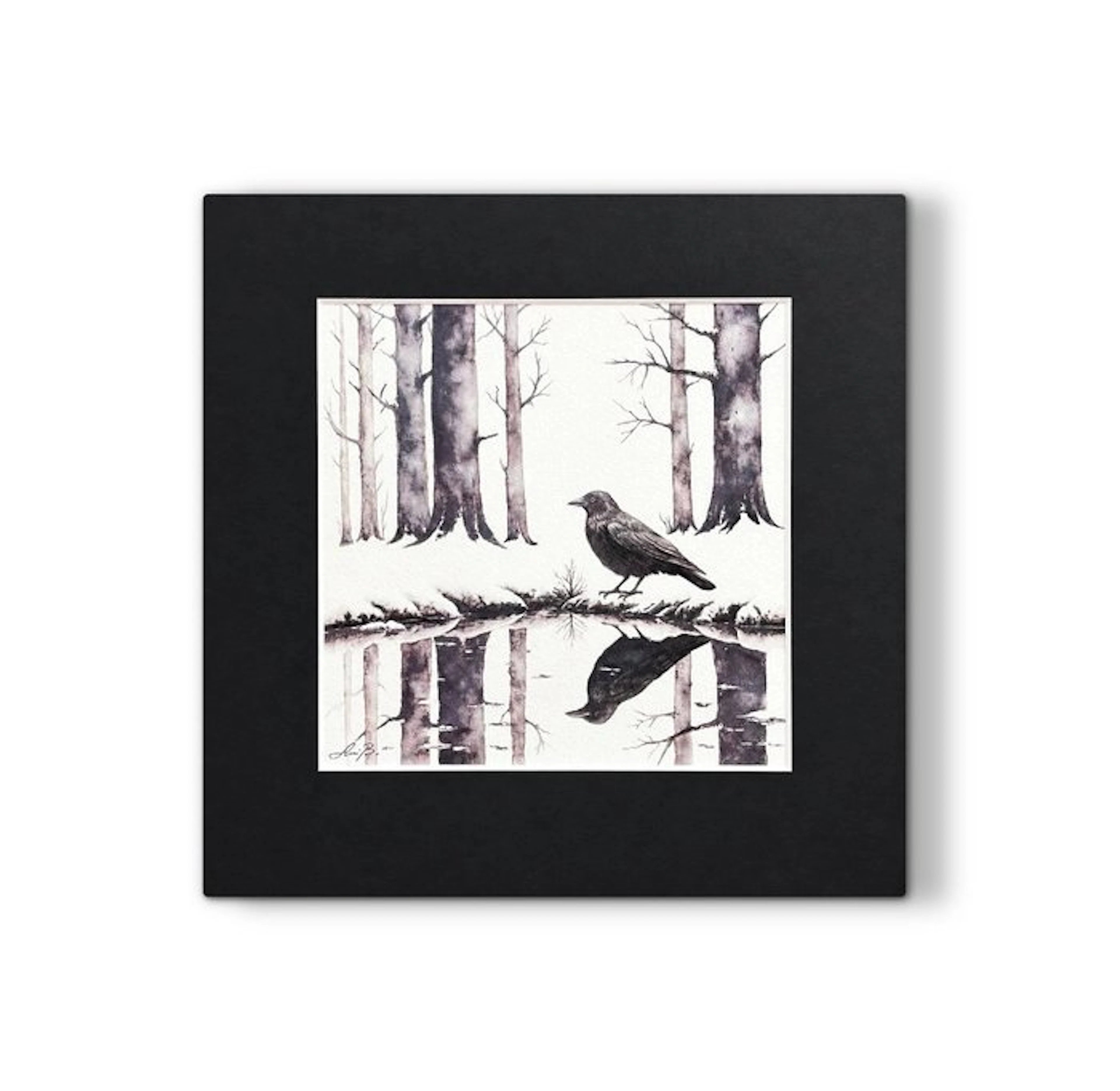 AniB. - RAVEN Reflection