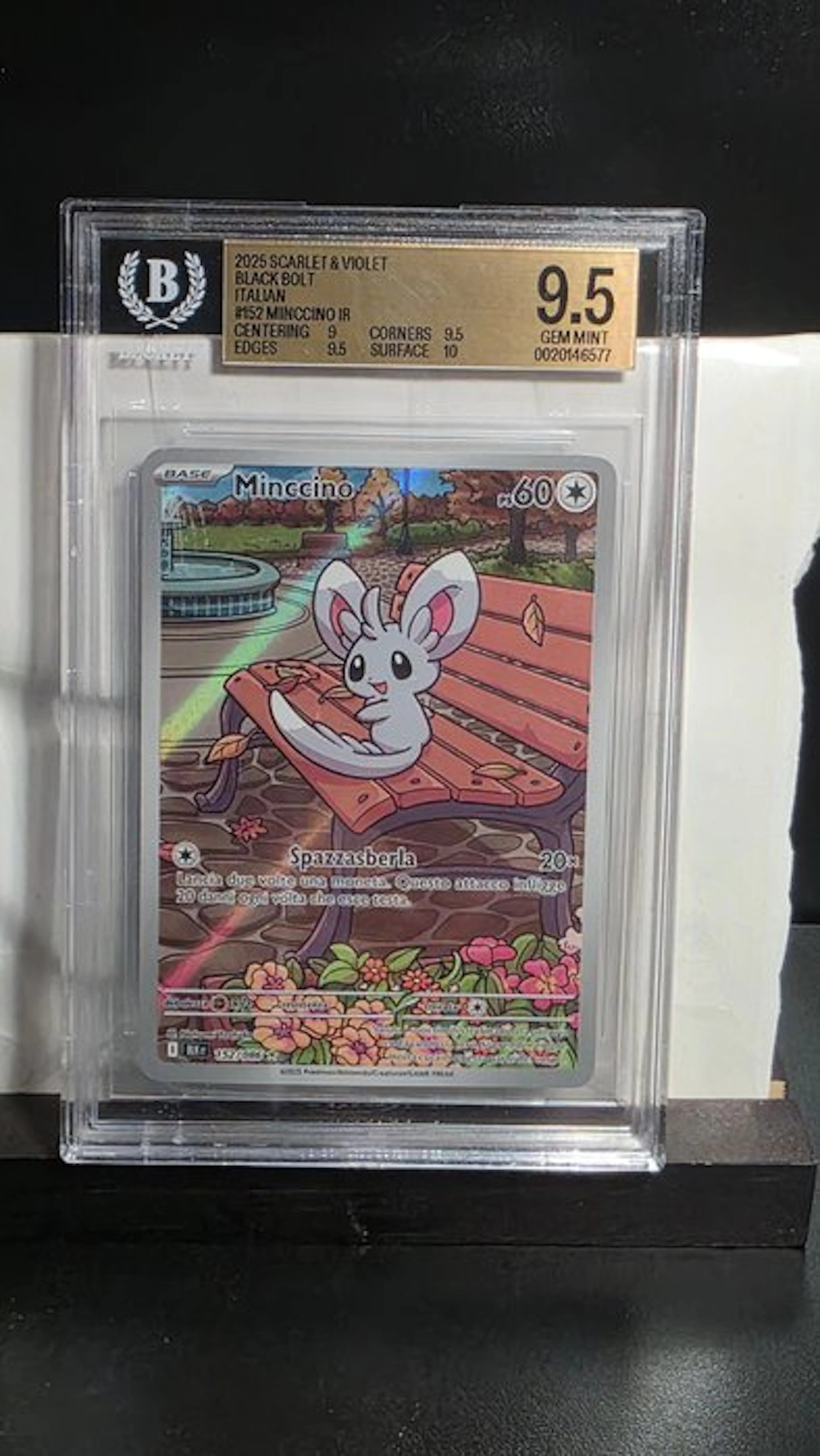 Pokémon - 1 Graded card - Pokémon - Minccino Foil, Full art - Beckett 9.5