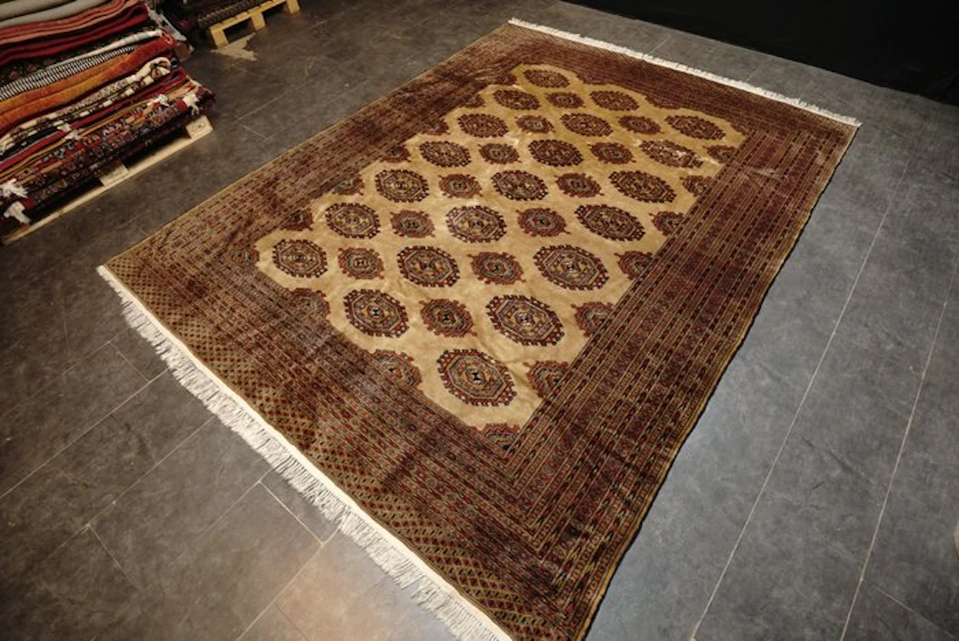 Bukhara art deco - Carpet - 320 cm - 245 cm