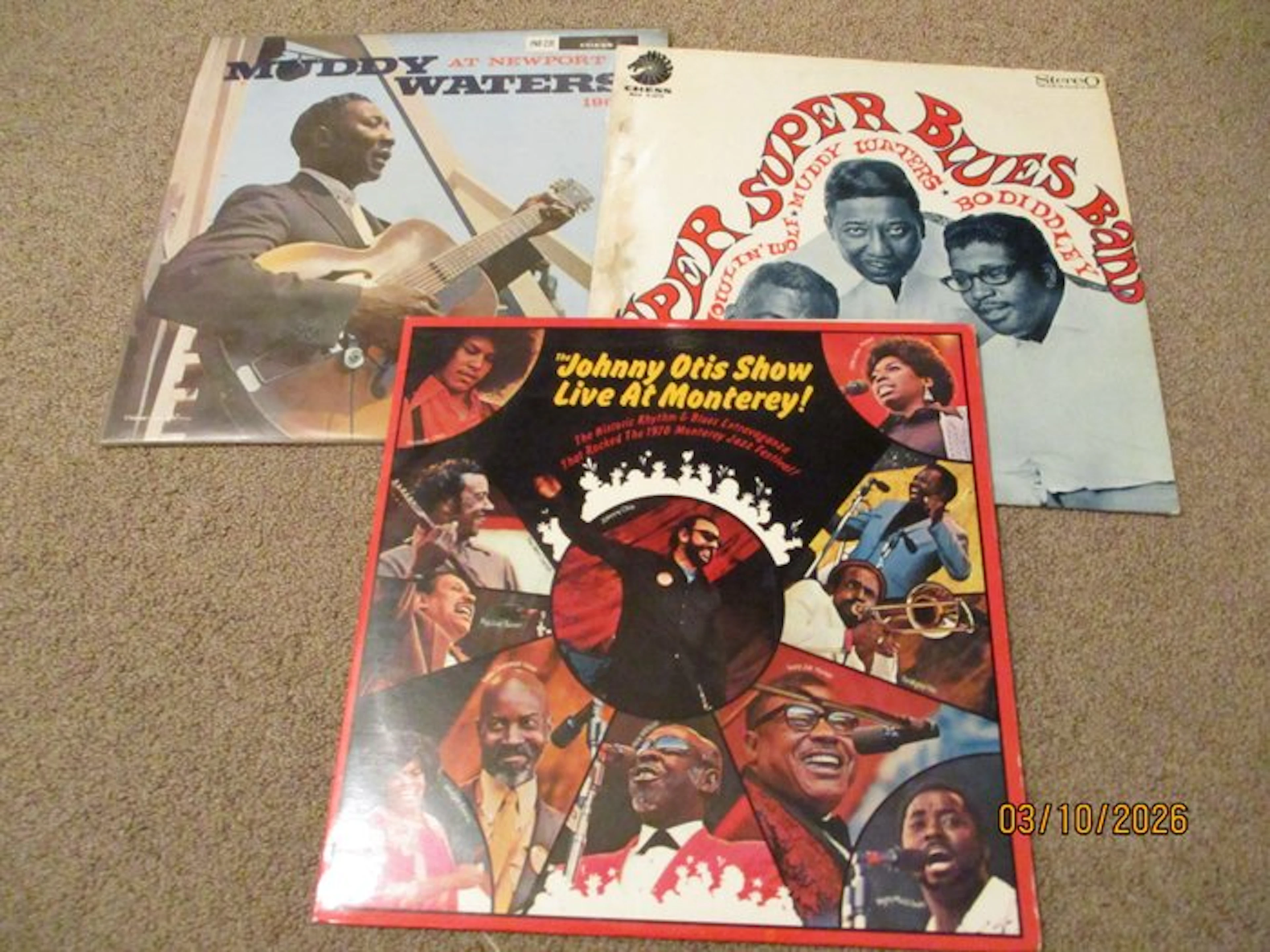 Muddy Waters