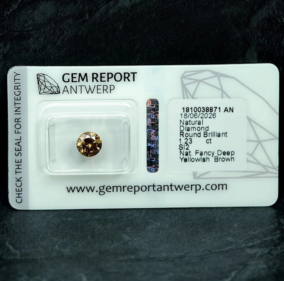 1 pcs Diamond (Natural coloured) - 1.23 ct - Round...