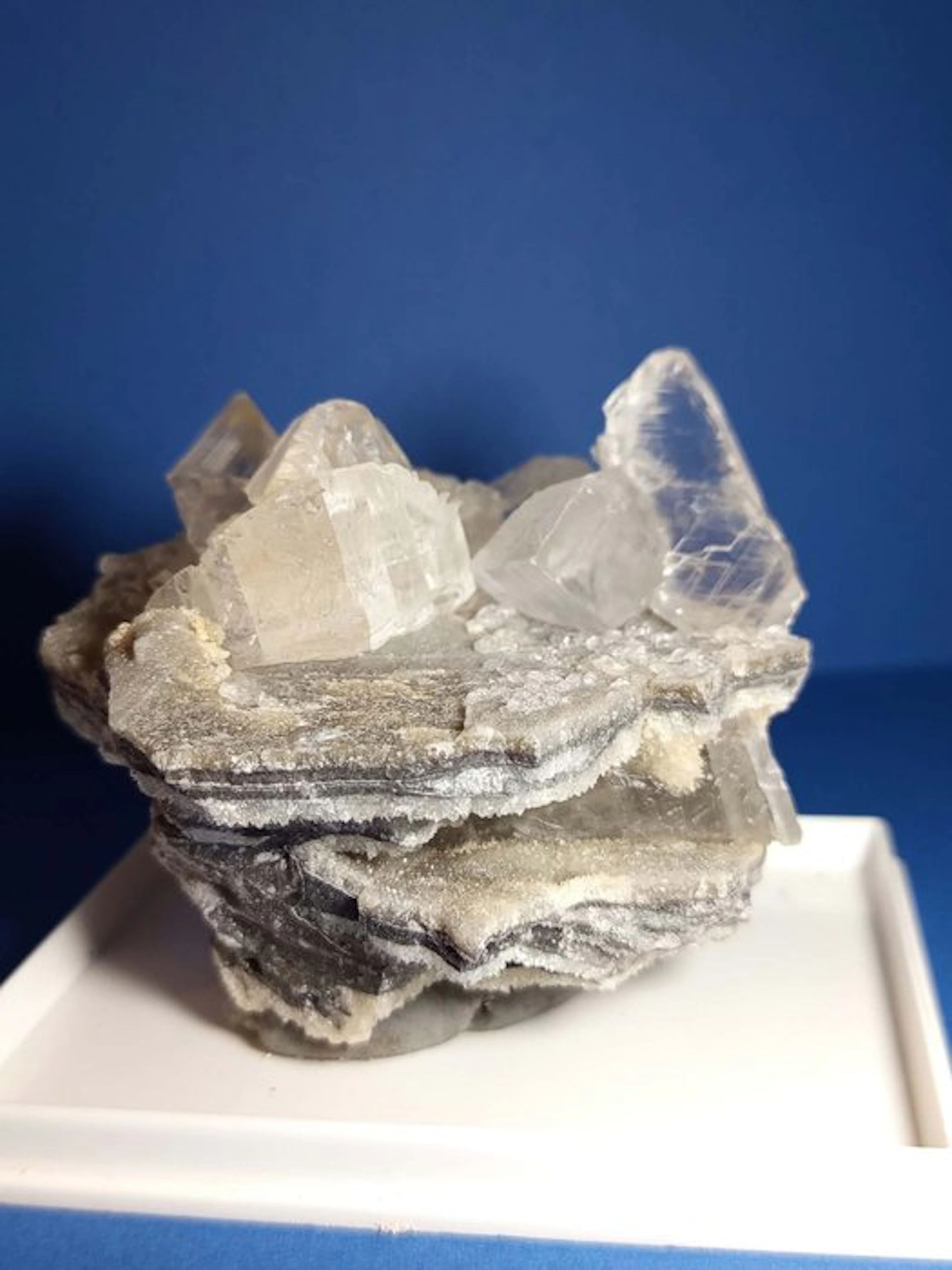 Selenite Freeform - Height: 7 cm - Width: 8 cm- 300 g - (1)