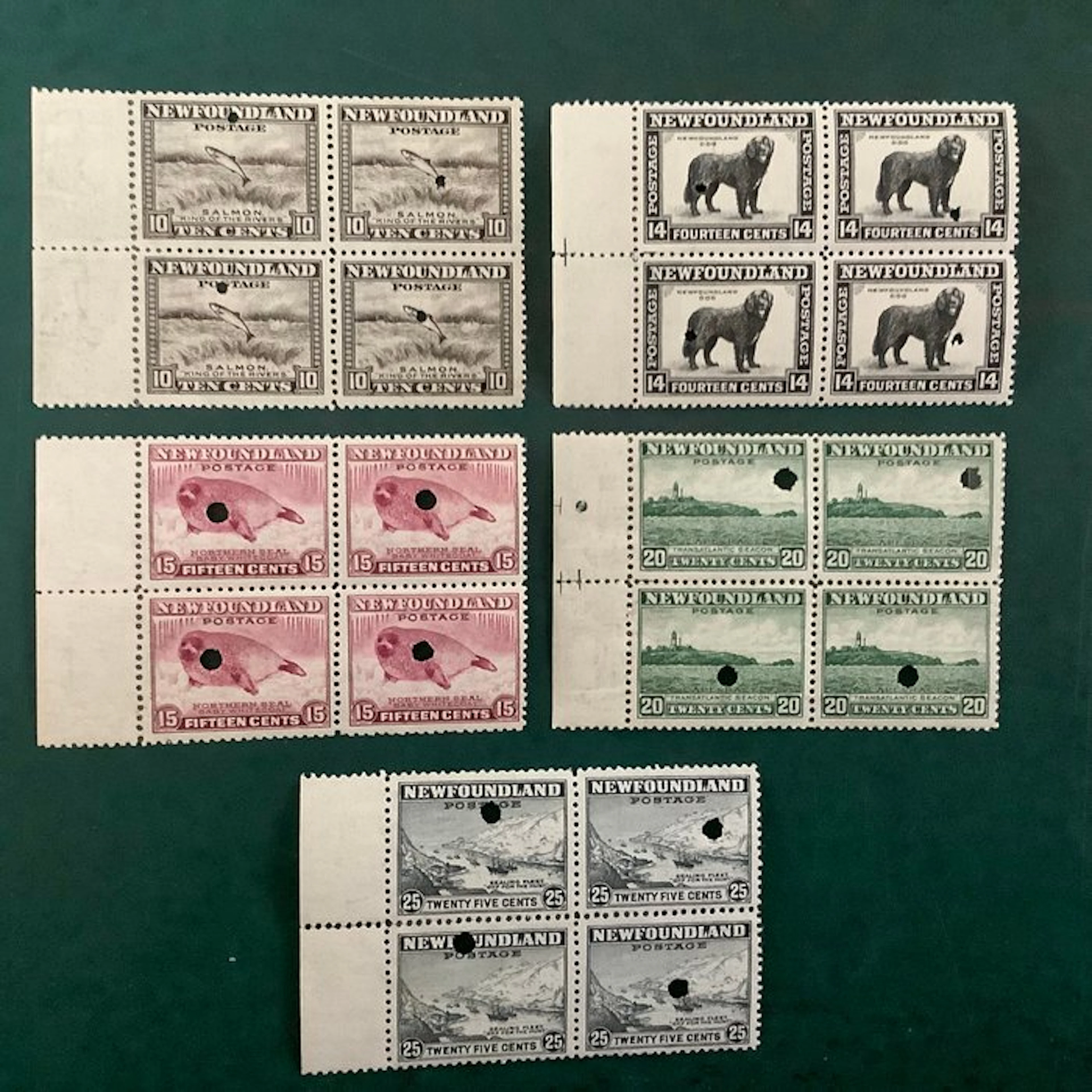 Newfoundland 1932 - Proofs; five blocks of four — The...