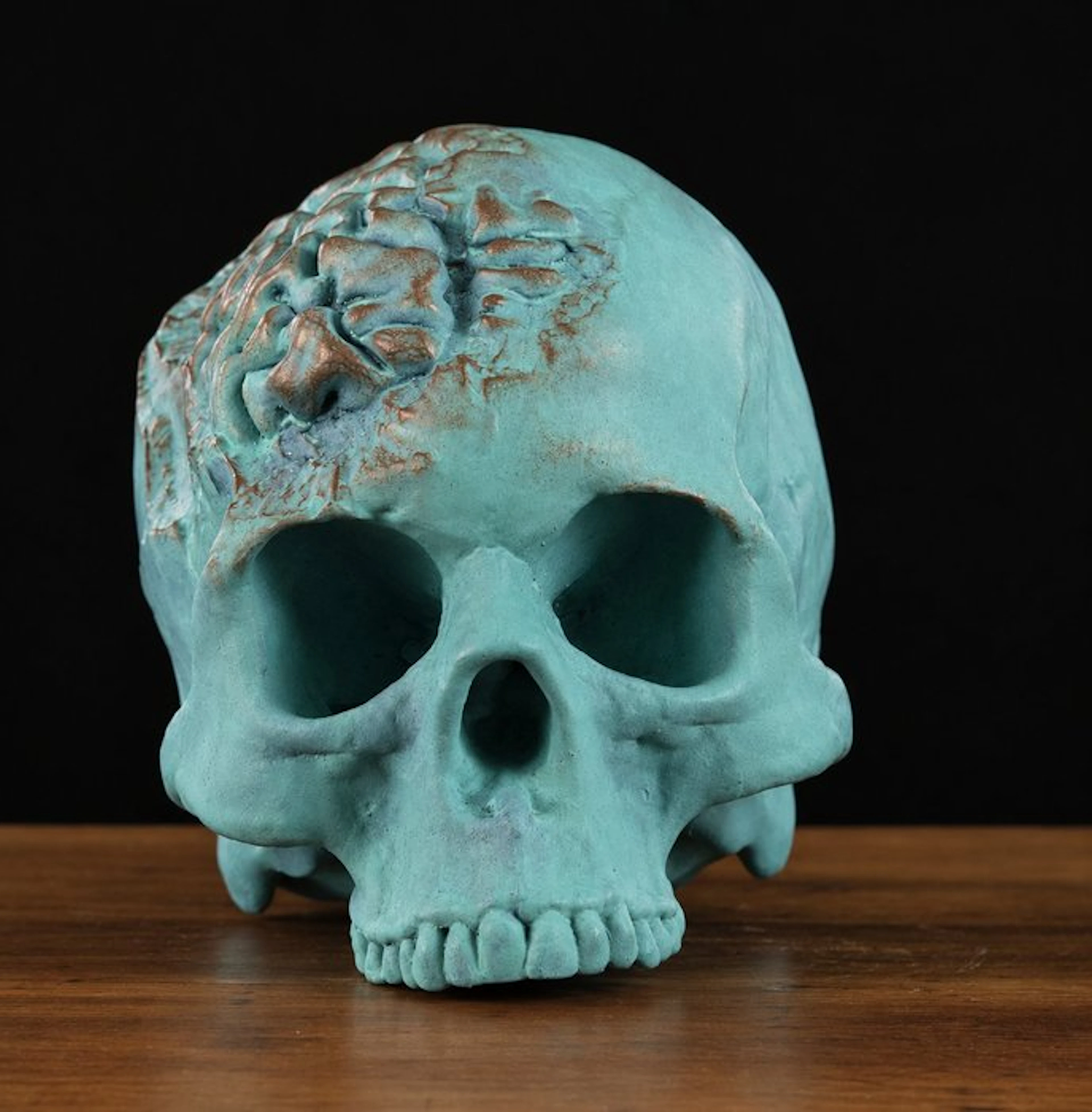 Sculpture, TESCHIO CON CERVELLO ESPOSTO - 17 cm - Resin - 2025