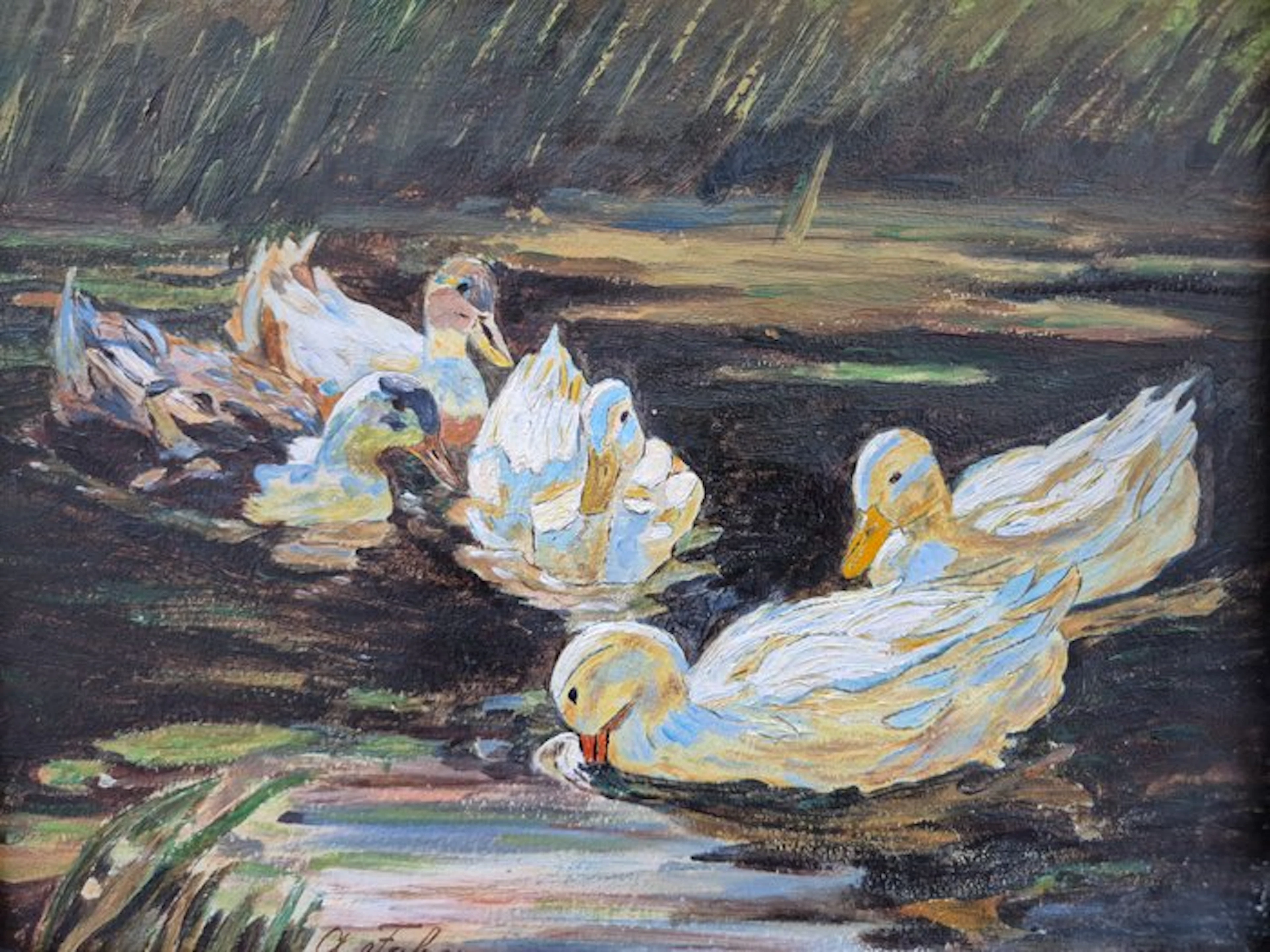 A. Faber (XX) - Enten im Wasser
