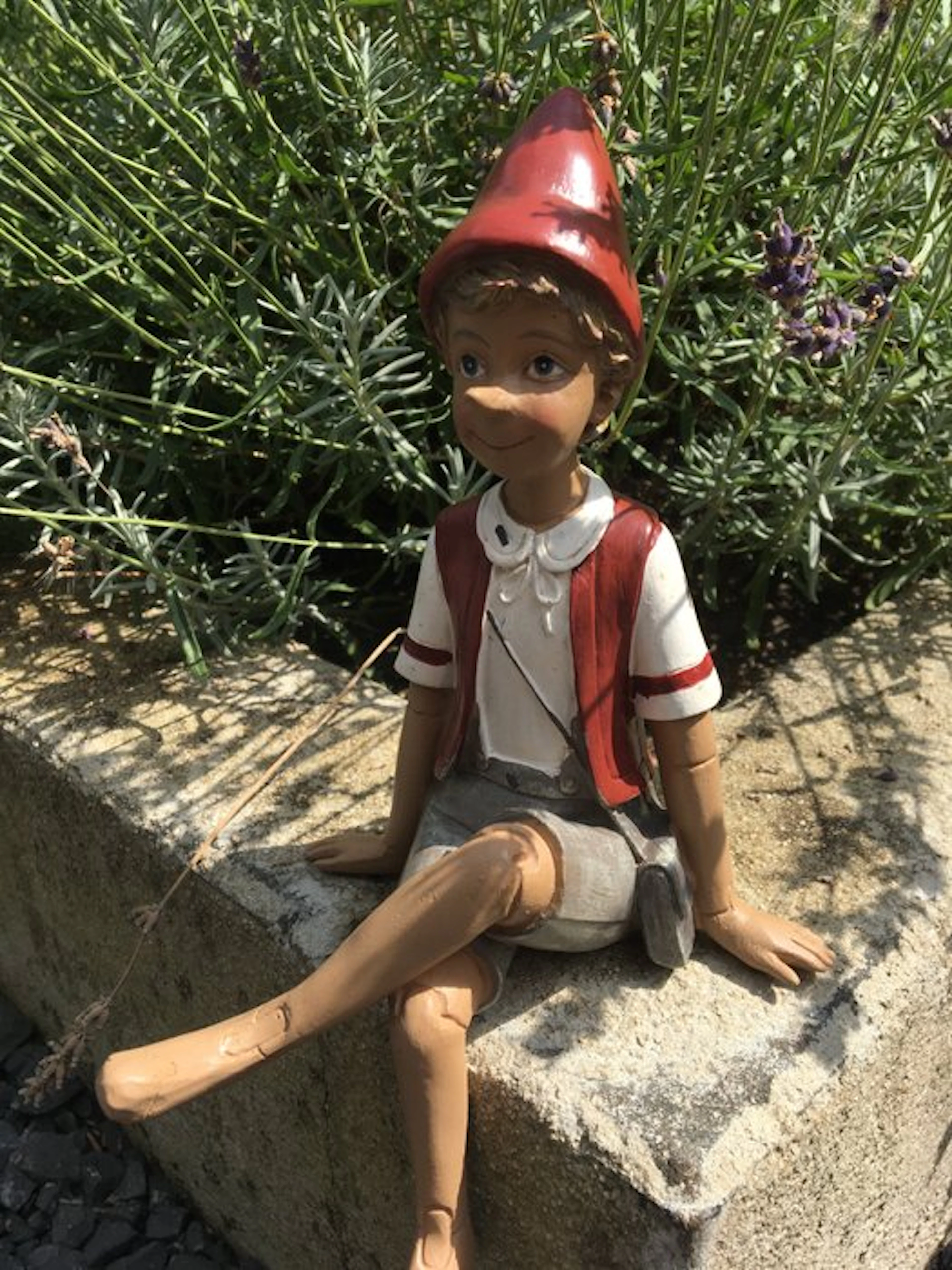 Figurine - THE ADVENTURE PINOKKIO - Resin, Pigments