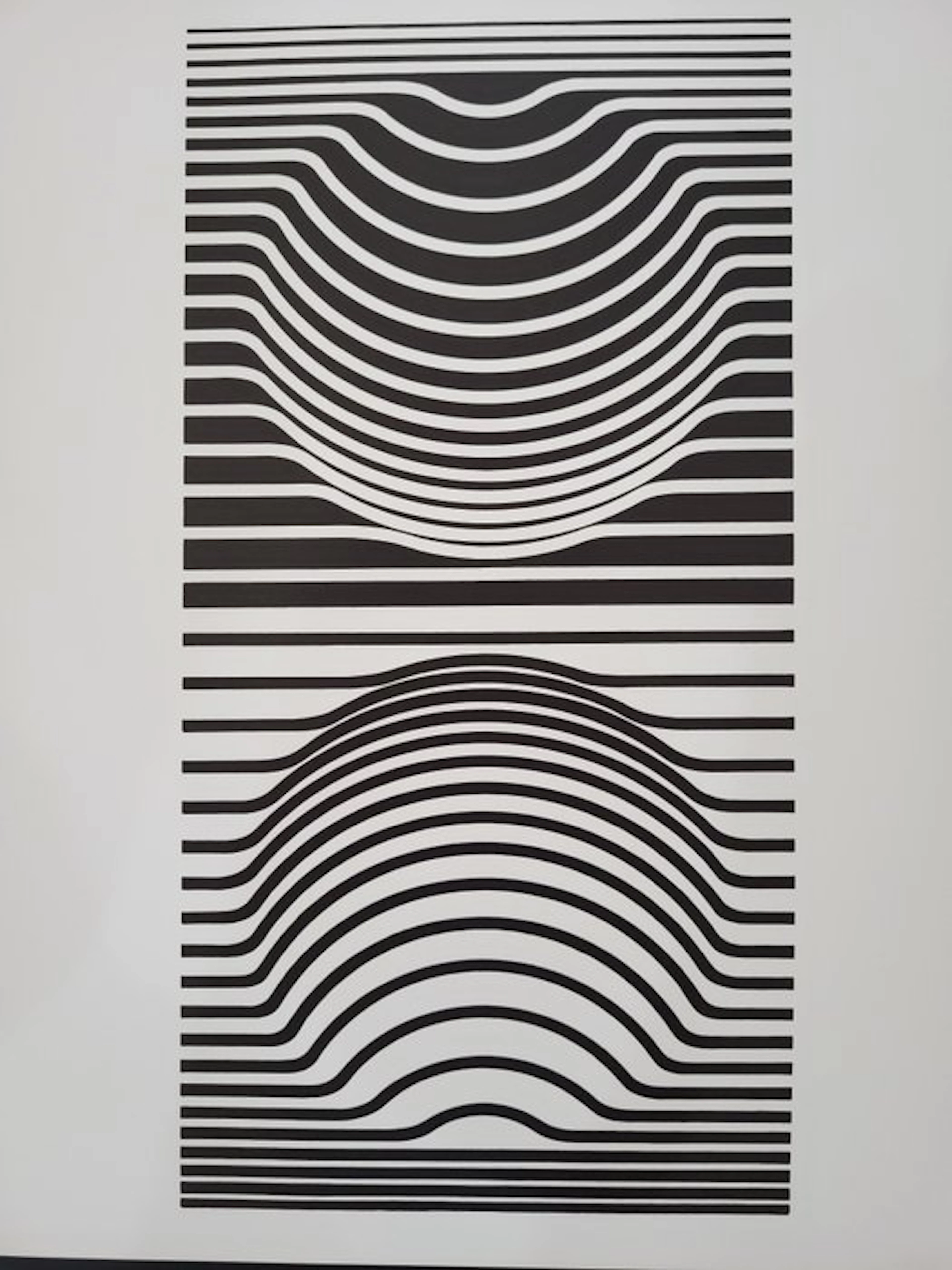 Victor Vasarely (1906-1997) - Ris