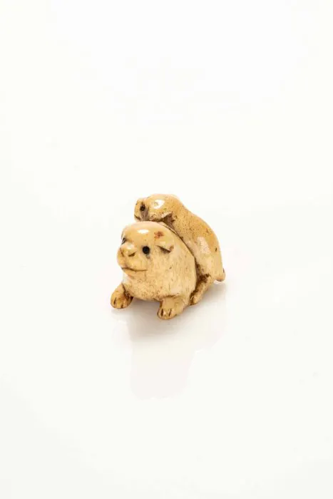 A fine and soft stag antler netsuke depicting two dog...