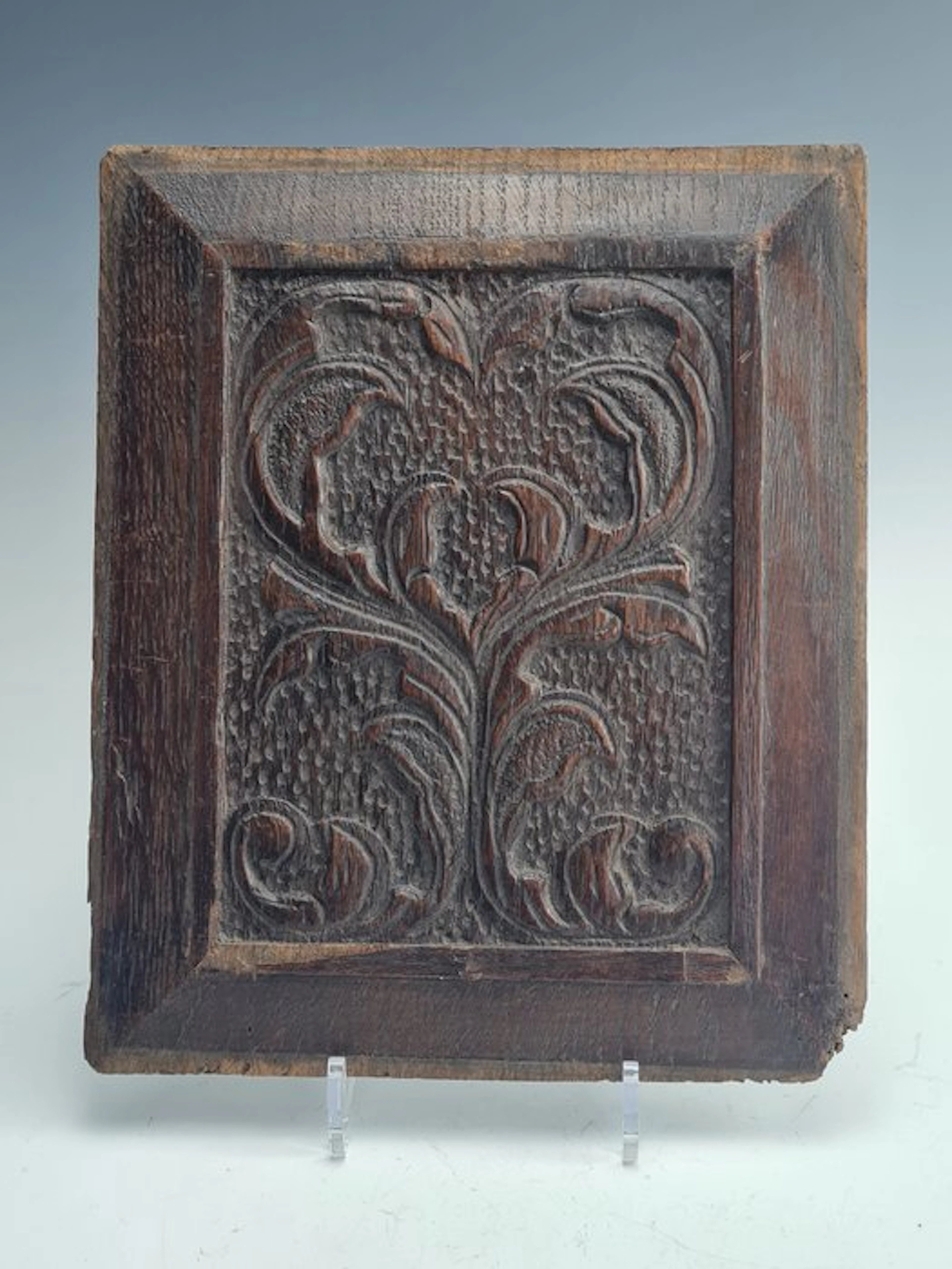 Mooi kastpaneel gemaakt, 17e eeuw - Carving, Wandpaneel - 32 cm - Oak