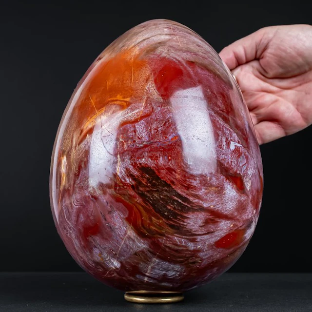 Natural petrified wood egg – 6.1 kg fossil beauty full of...