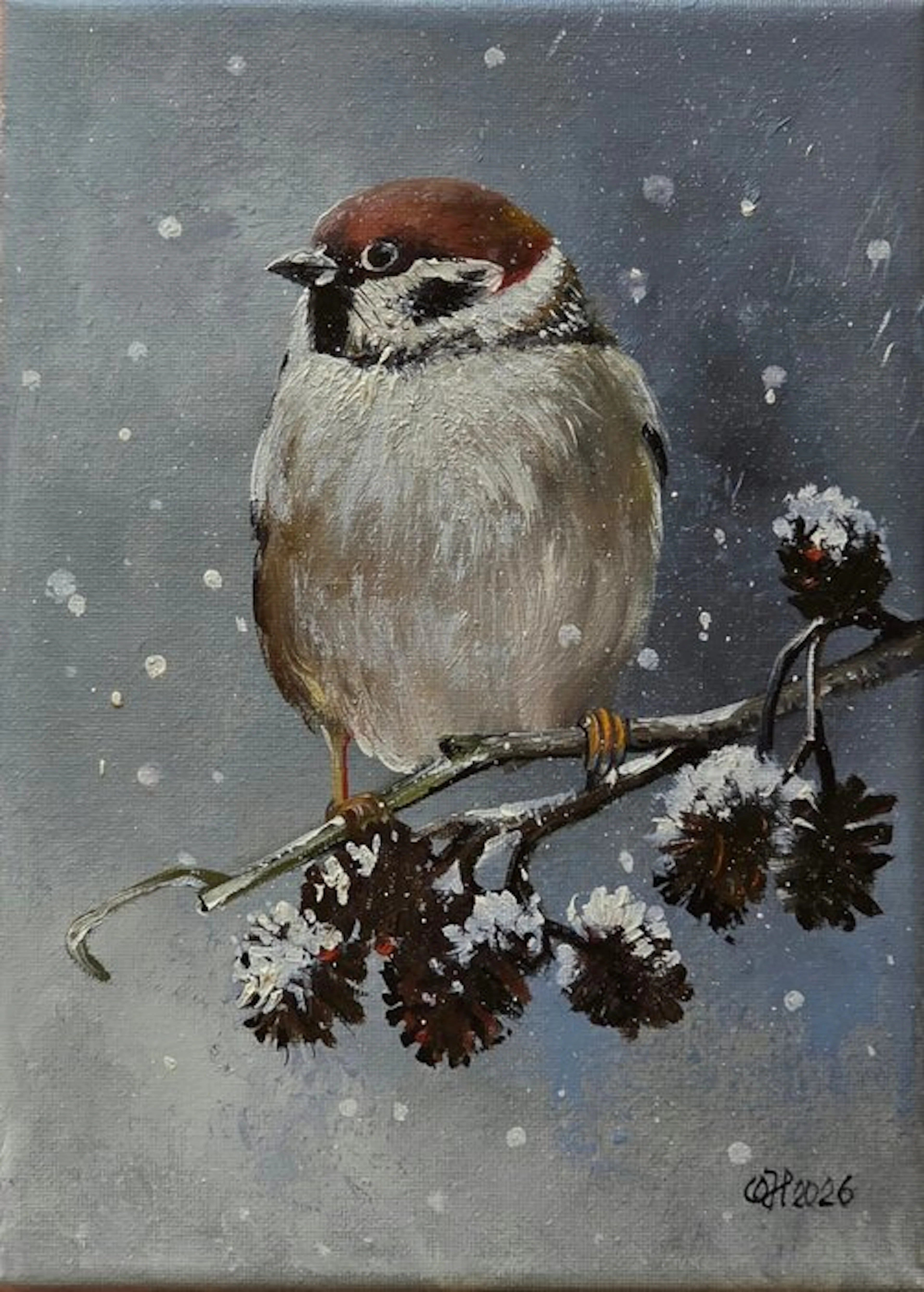 Alexander Nakonechnyi (XX-XXI) - Passerotto
