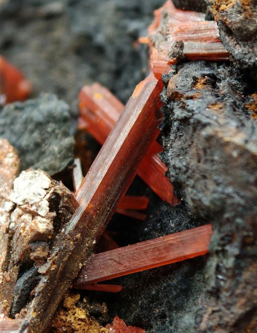Rare orange crocoite