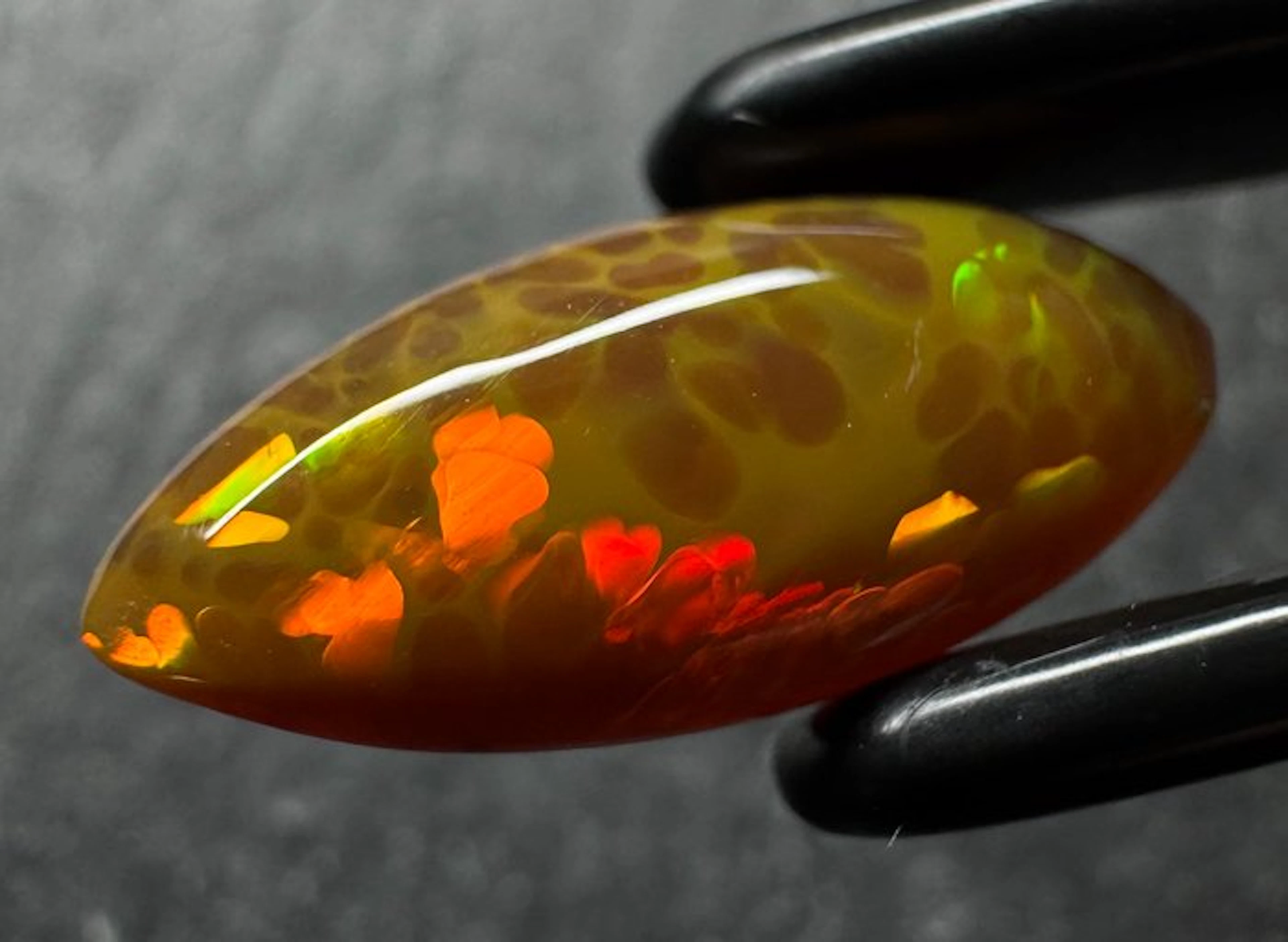 Opal Cabochon- 0.5 g