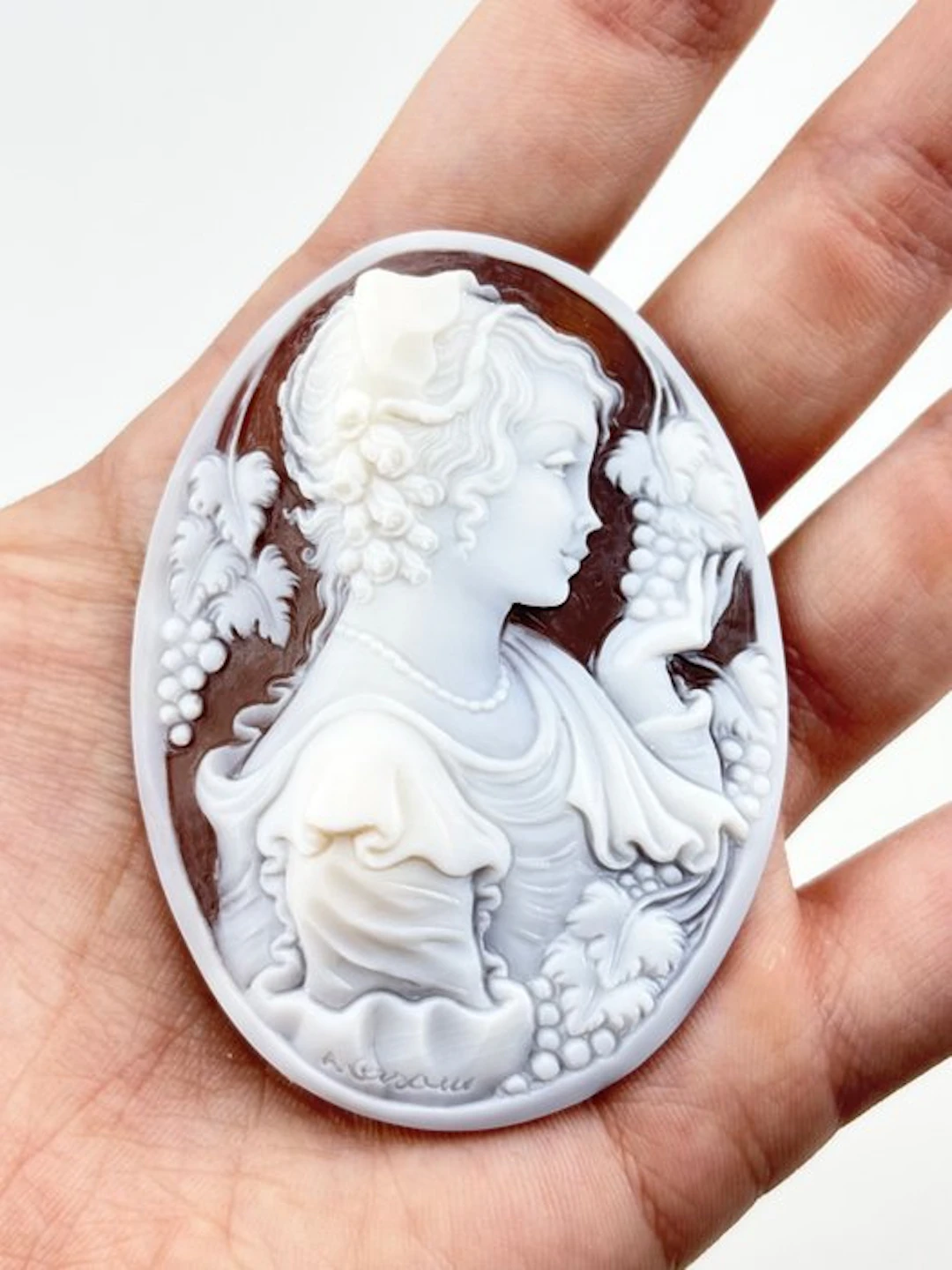 Cassis madagascariensis - Cameo - hand-carved cameo
