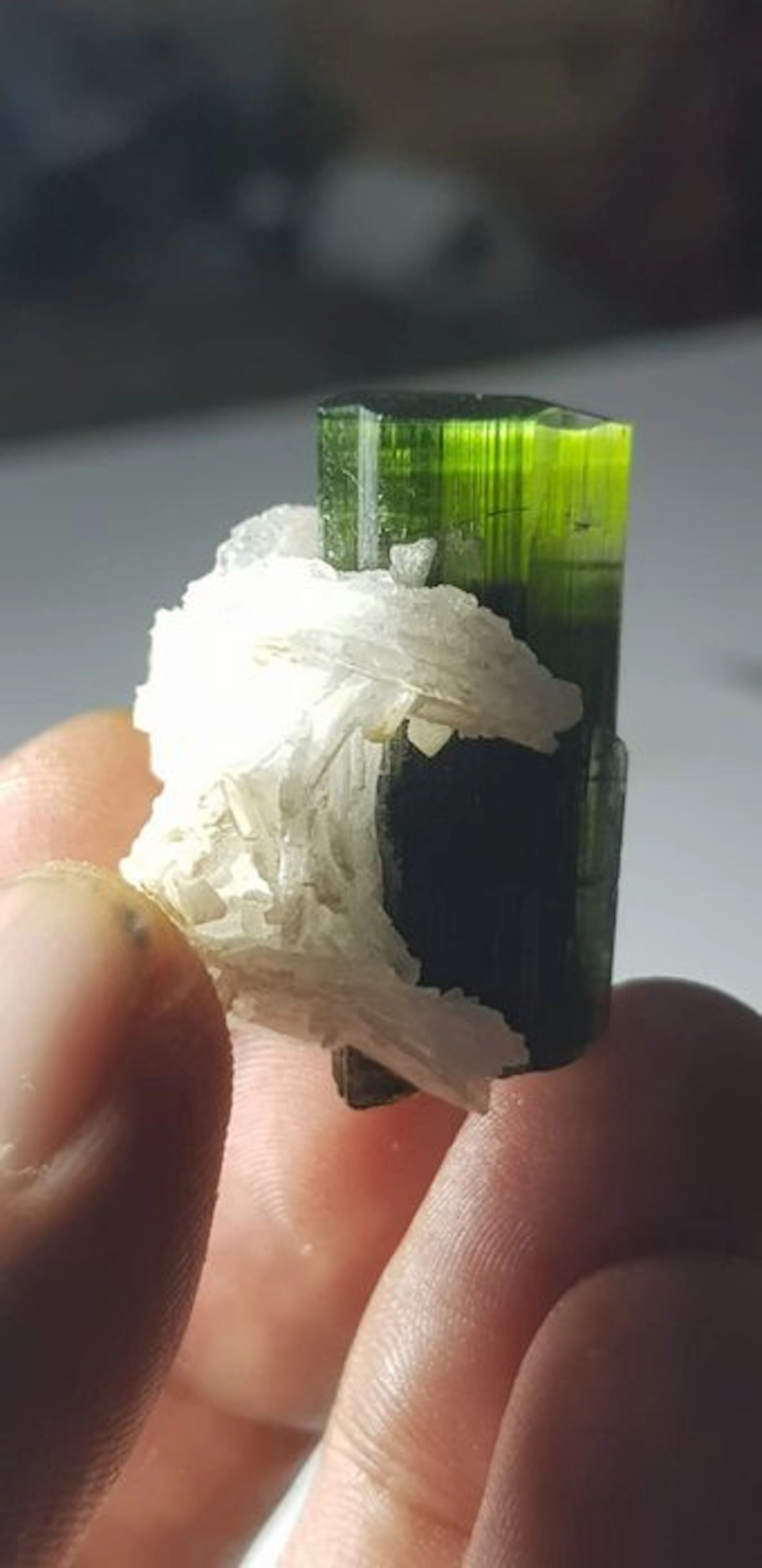 Staknala greencap tourmaline with albite matrix Mineral...