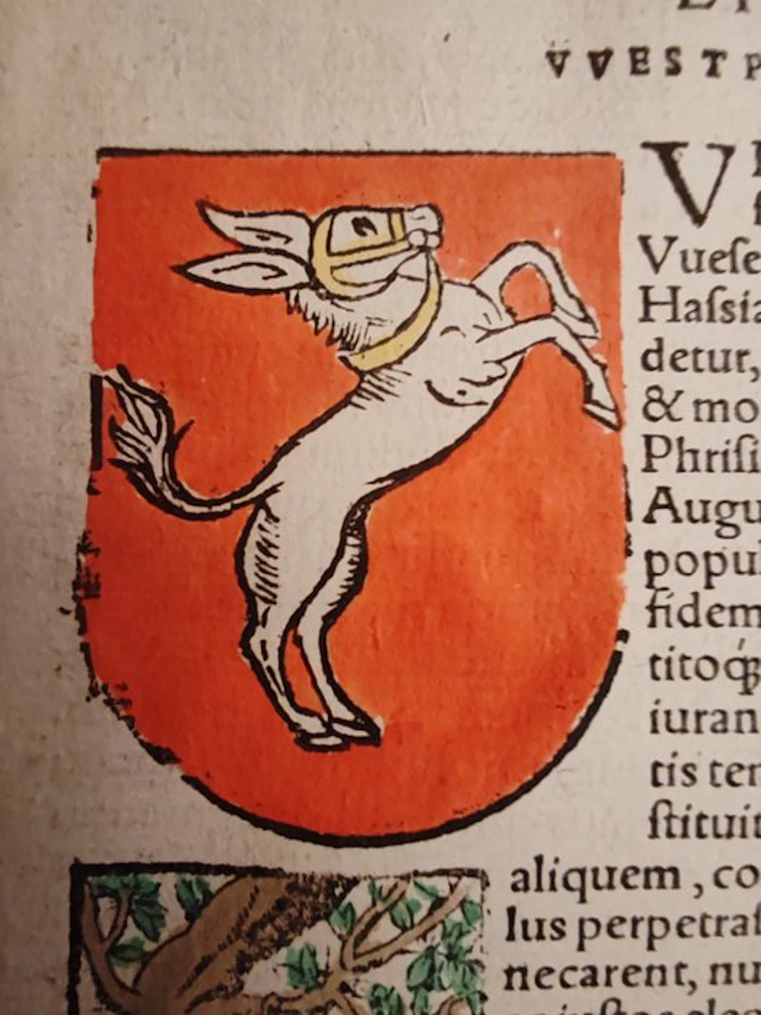 Sebastian Münster (1489–1552) - Cosmographia Universalis...