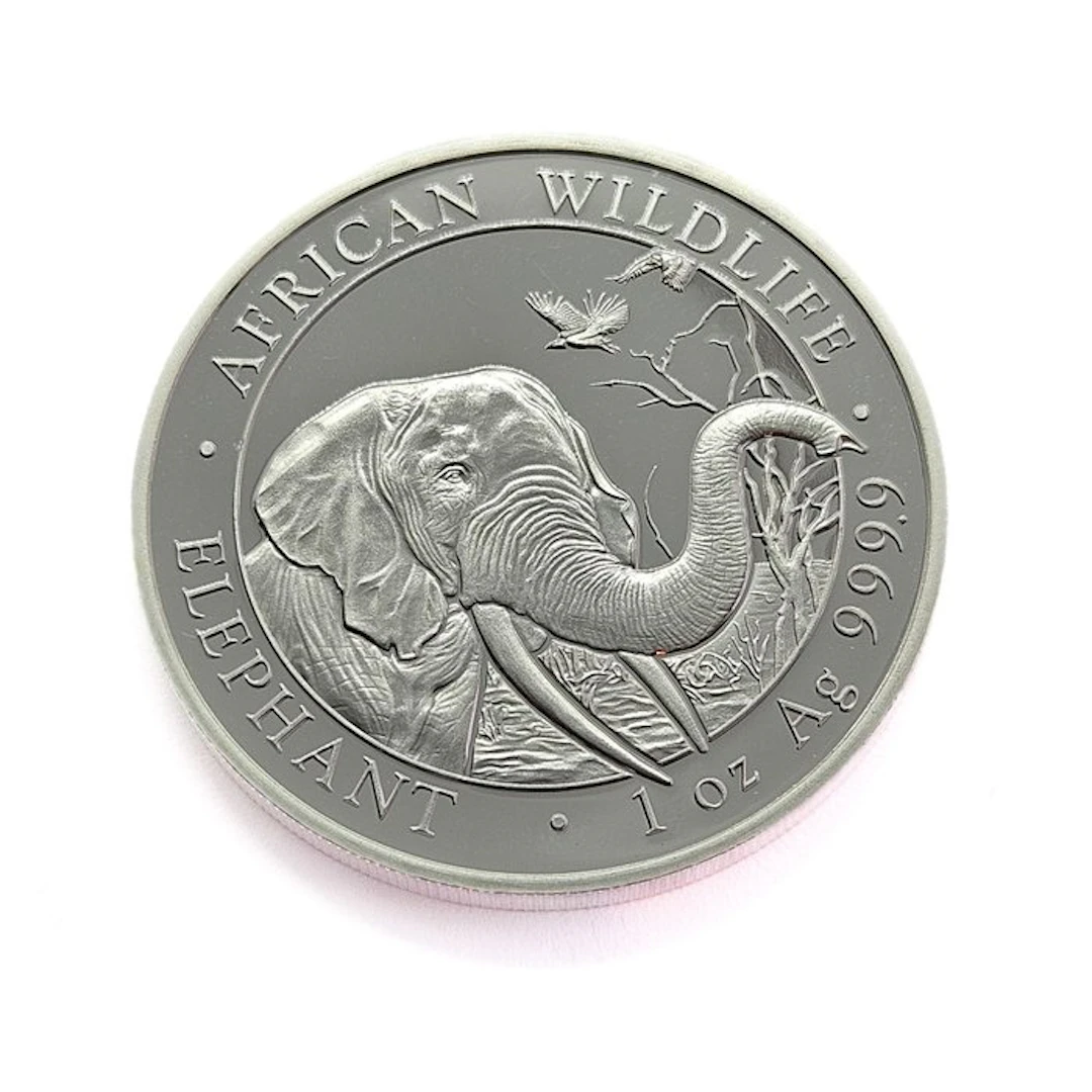 Somalia. 100 Shilling 2018 - Elephant