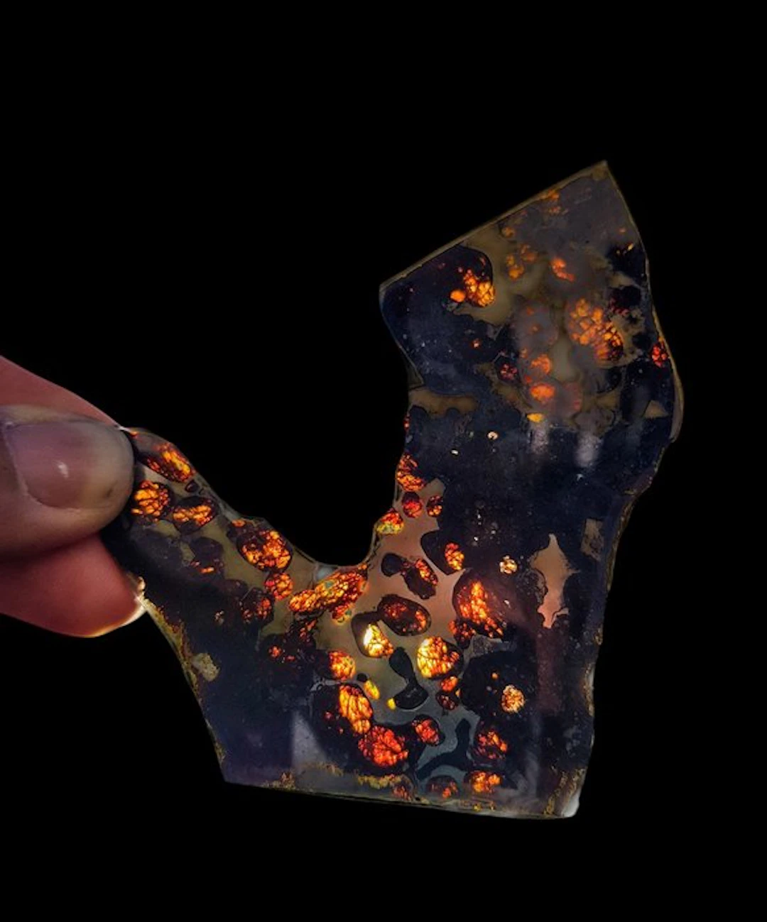 Pallasite Sericho pallasite - Height: 11 cm - Width: 9 cm - 24 g