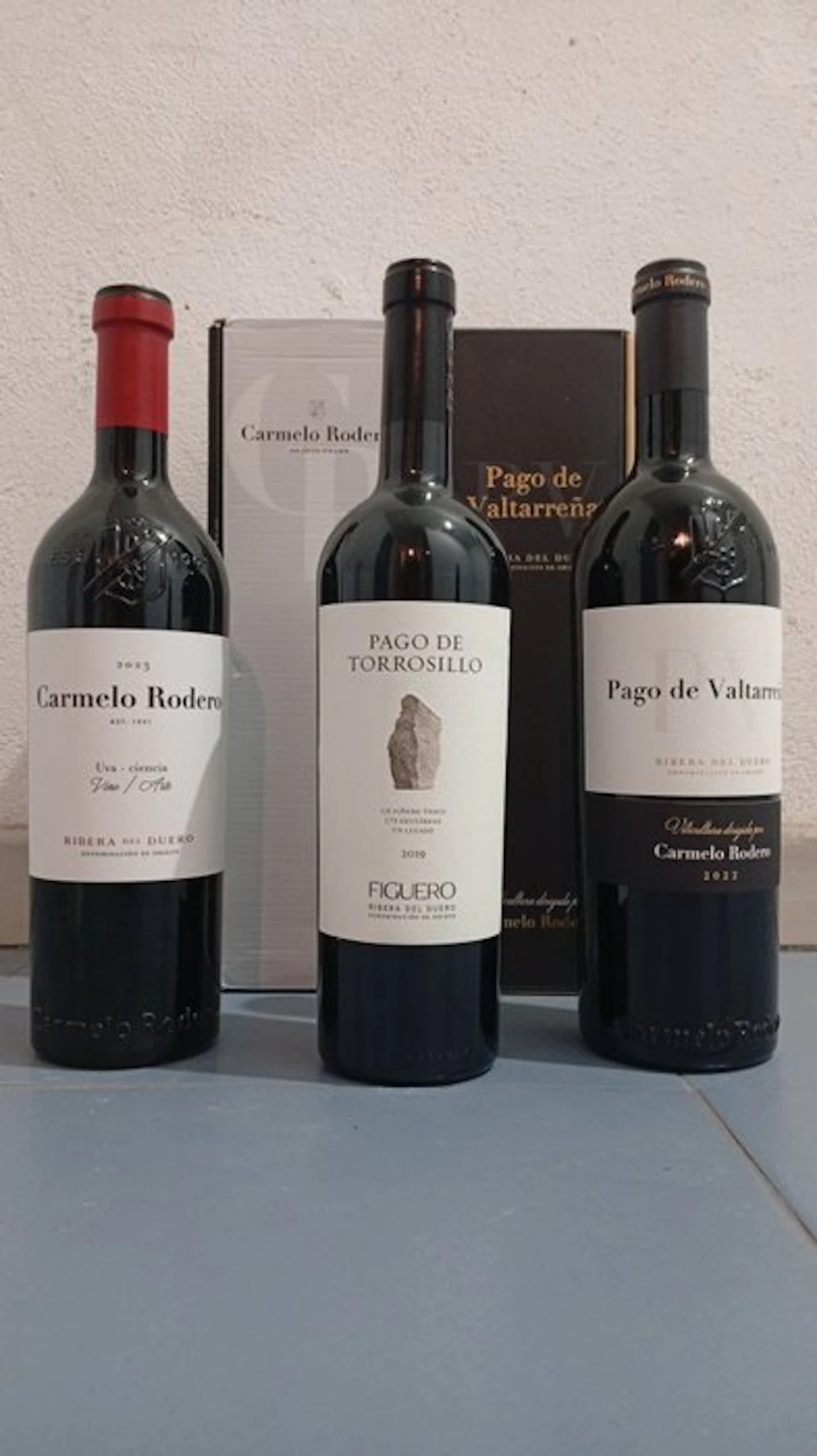 Carmelo Rodero 2023; Figuero Pago de Torrosillo 2019...