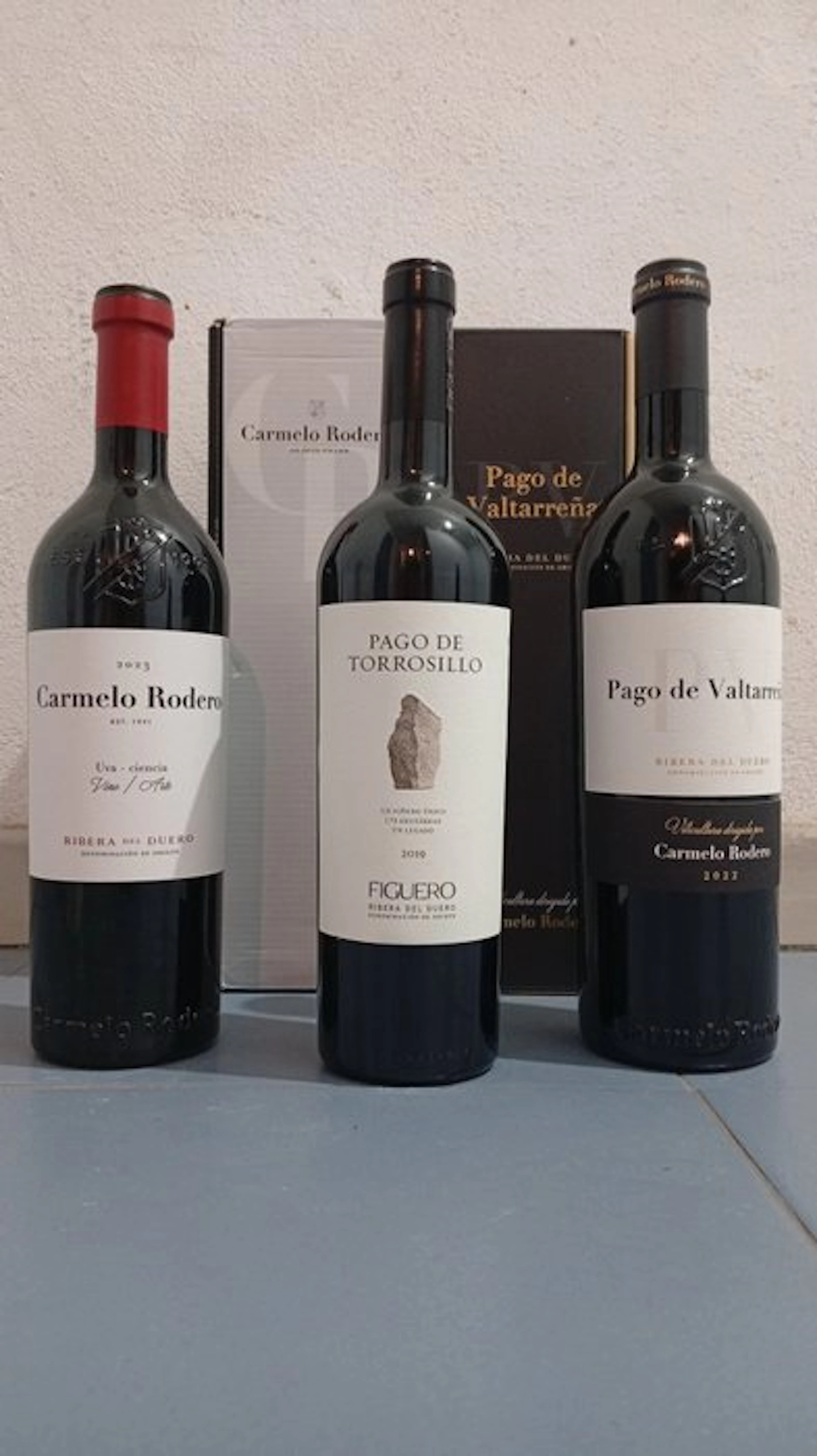 Carmelo Rodero 2023; Figuero Pago de Torrosillo 2019...