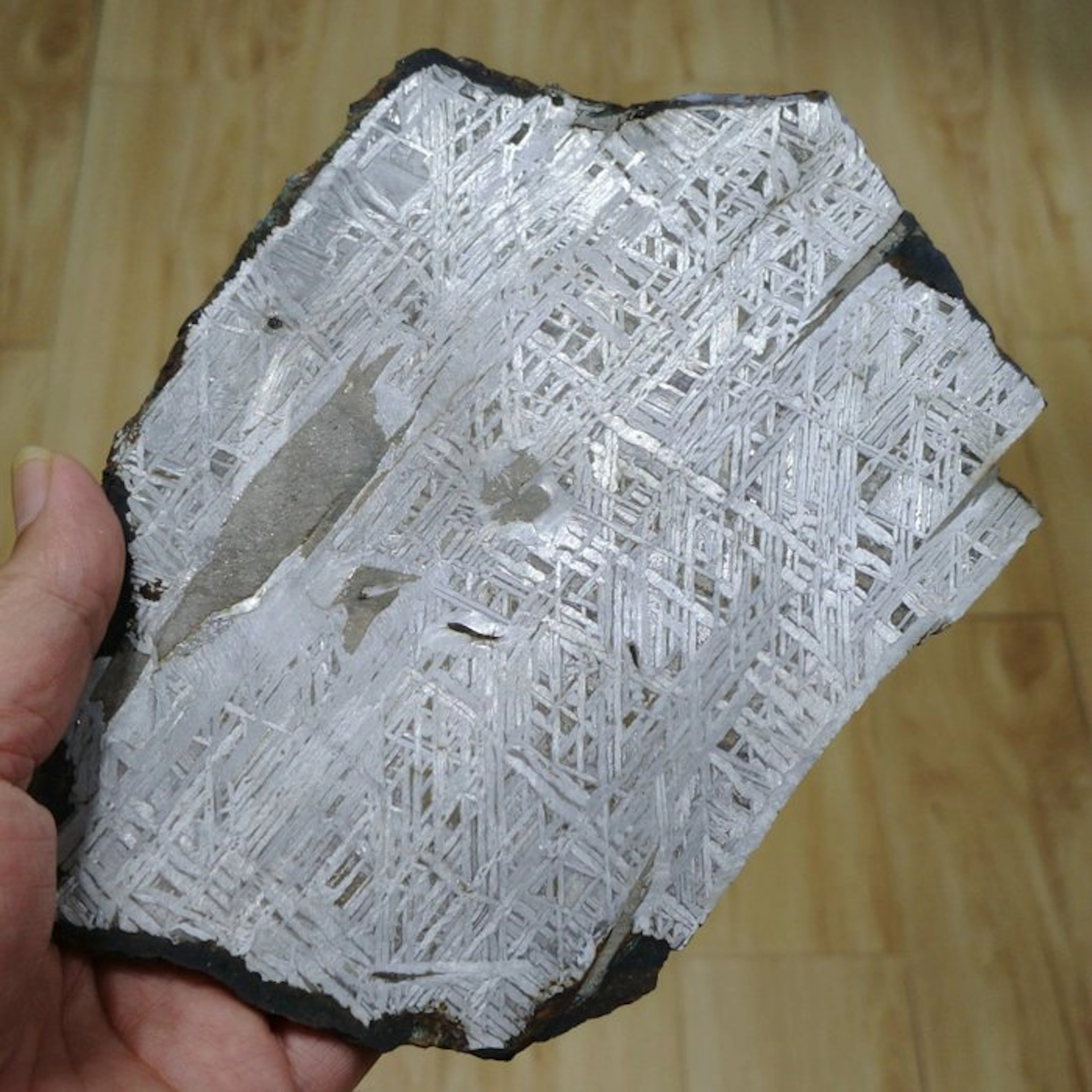 Large slice of Aletai iron meteorite with fusion crust
