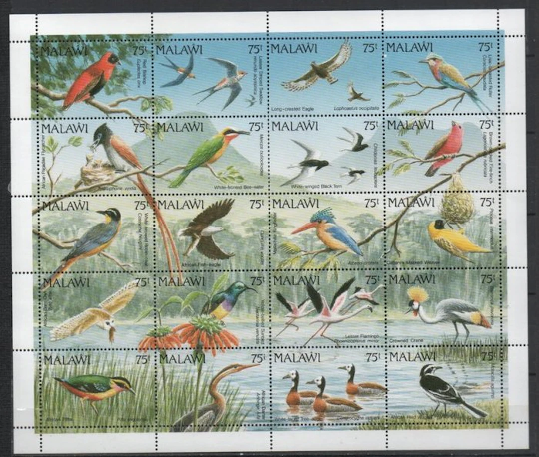 World - Nice collection of mint-condition birds on stamps.