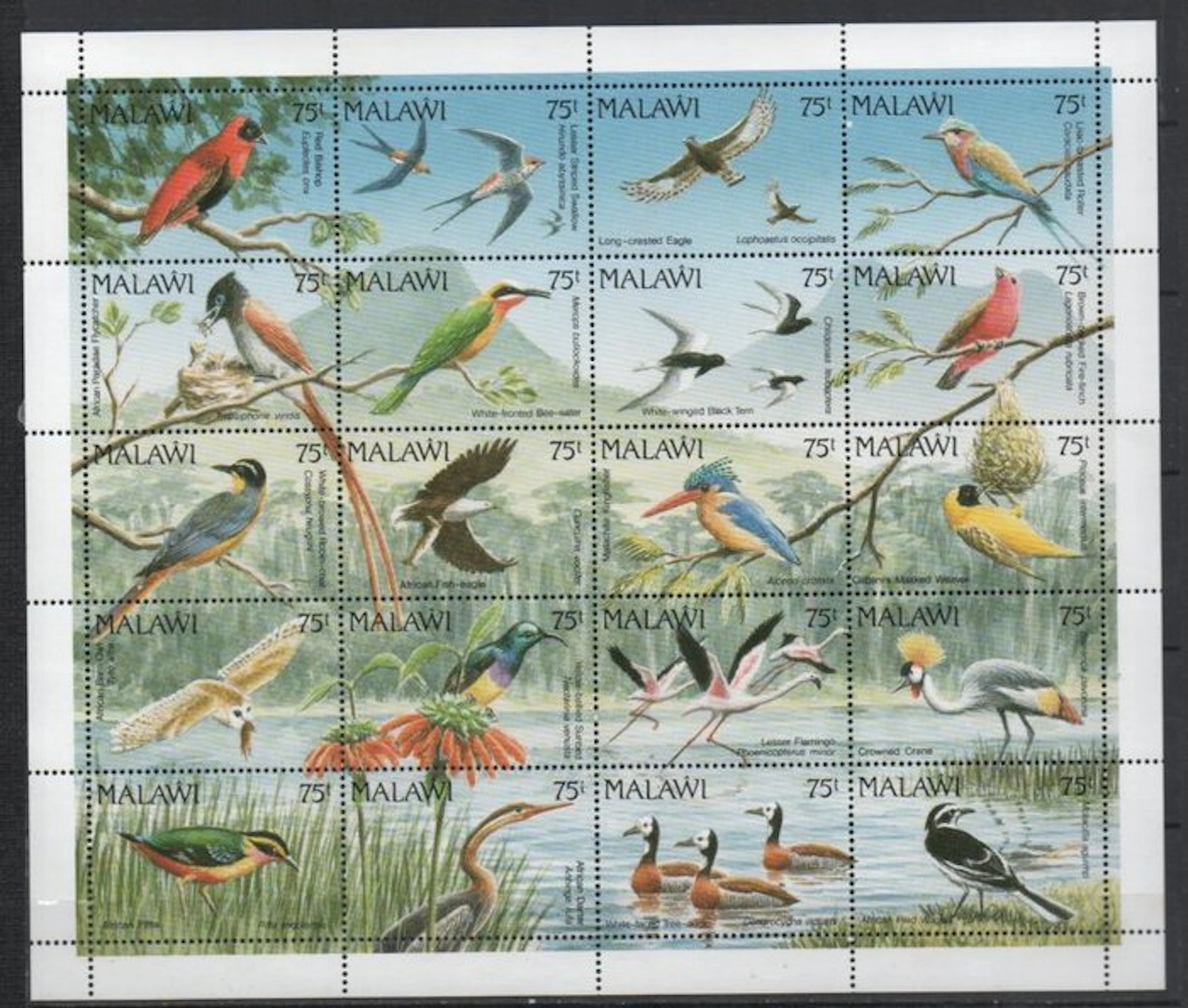 World - Nice collection of mint-condition birds on stamps.