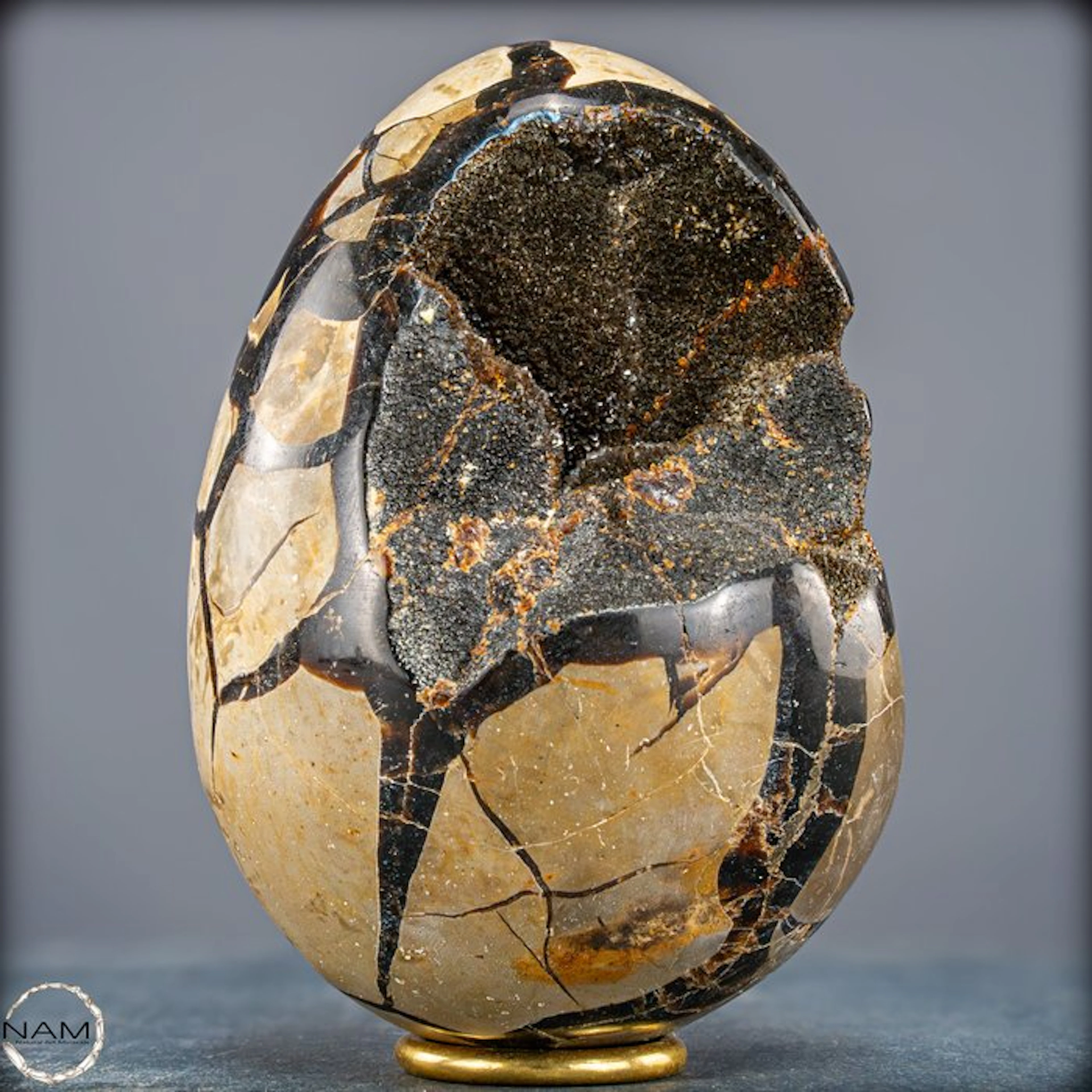 Stunning septarian egg – A work of art from nature
