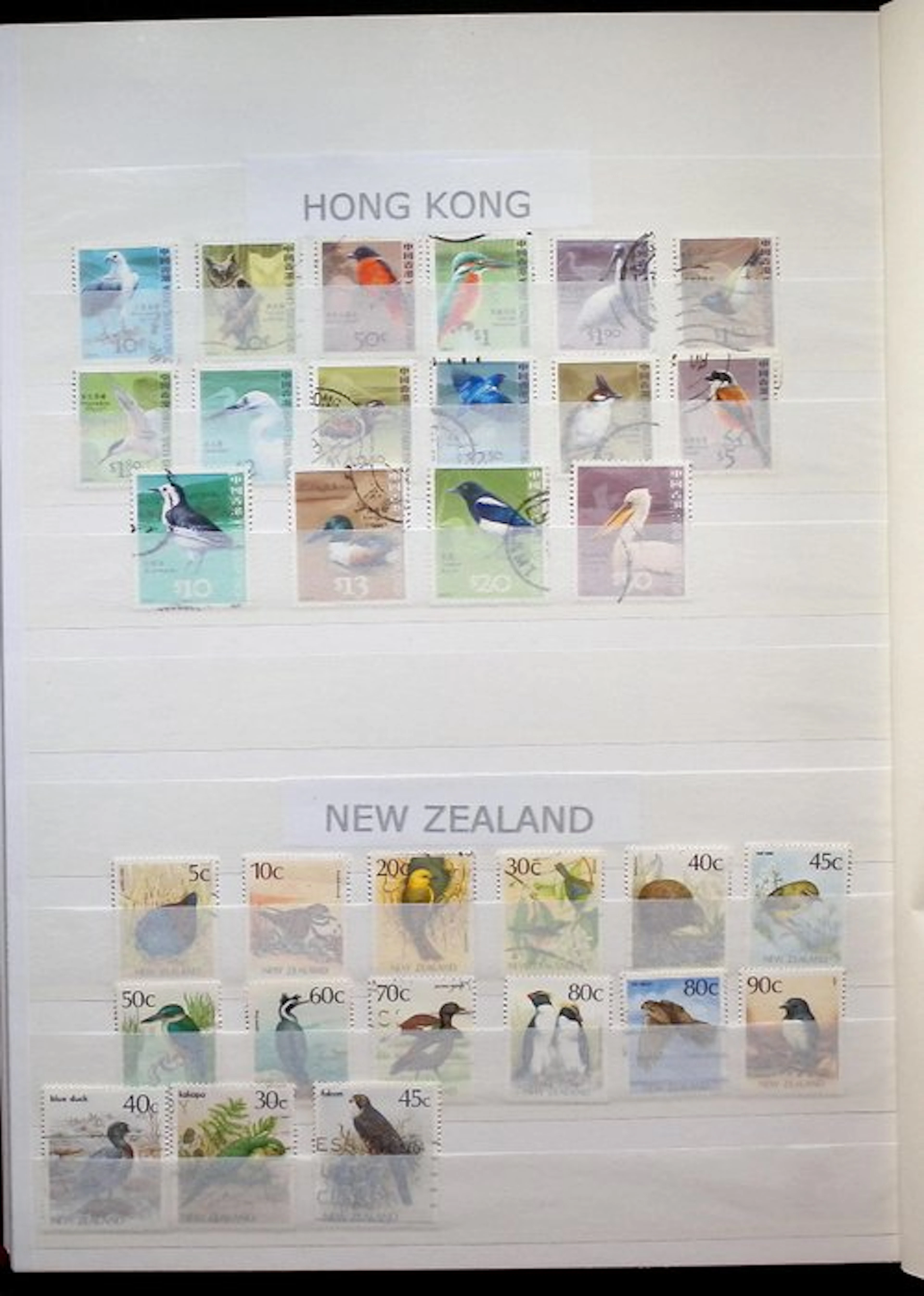 World - Beautiful collection of birds