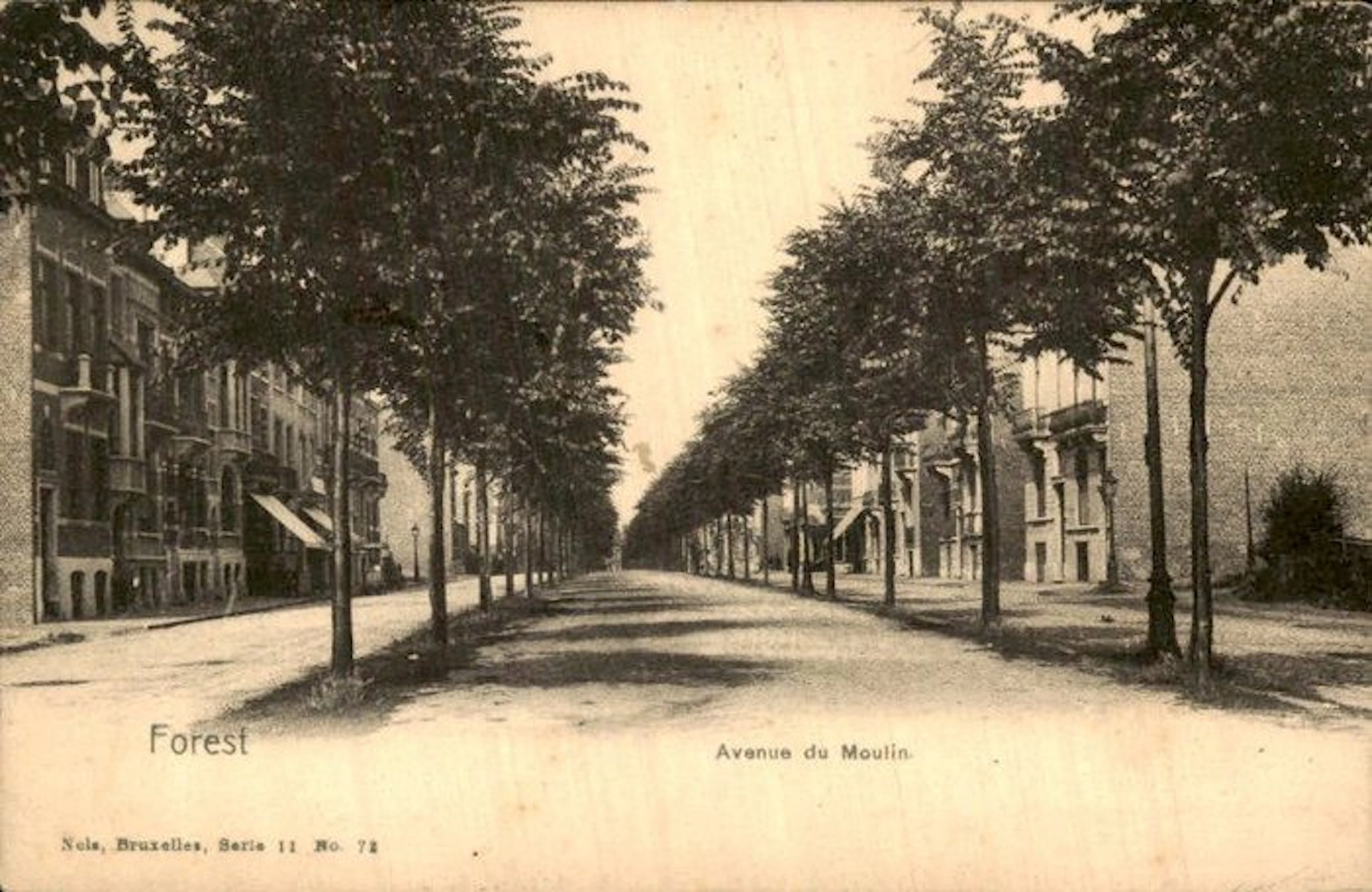 Belgium - Brussels-Capital Region - Postcard (275) - 1900-1999