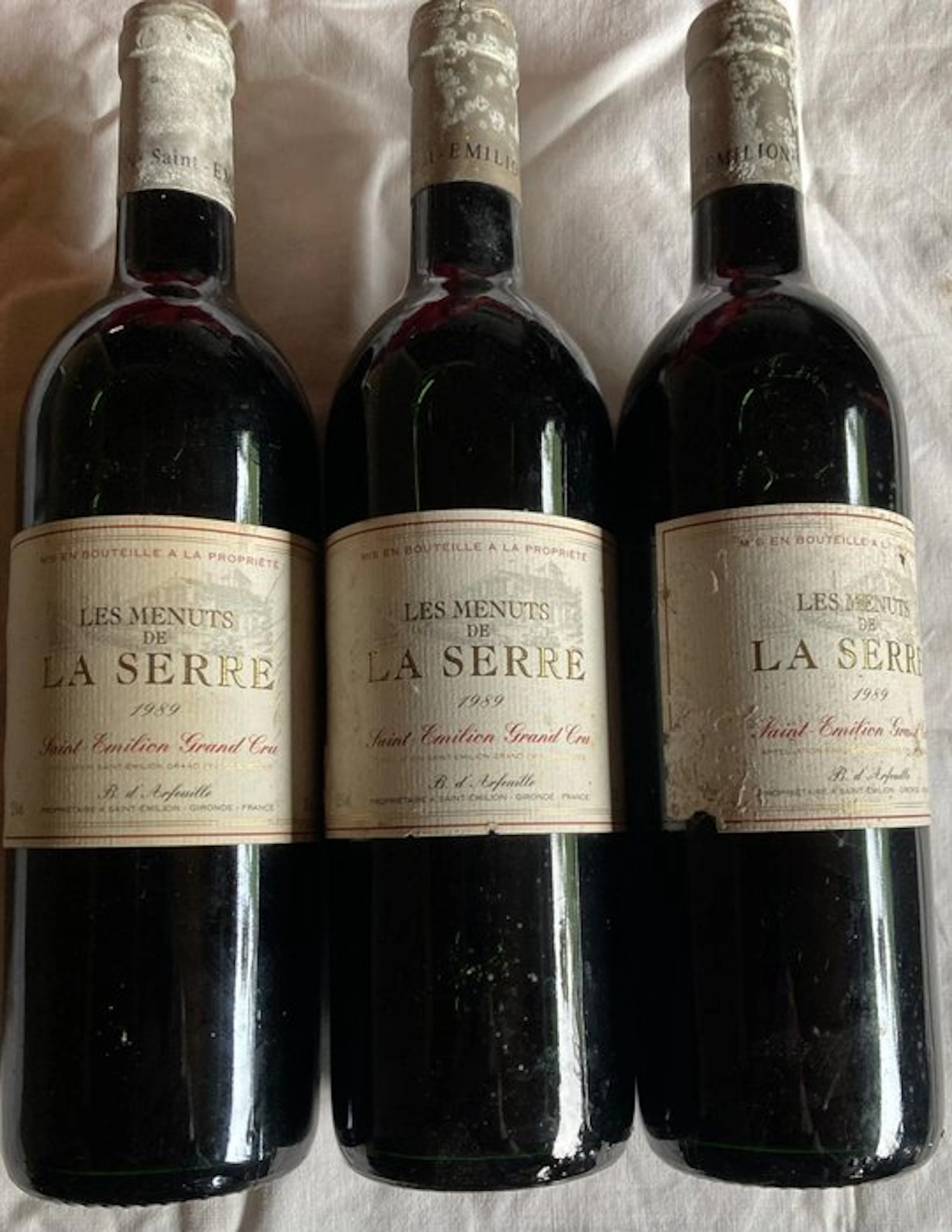 1989 Les Menuts de La Serre - Saint-Émilion Grand Cru - 3 Bottles (0.75L)