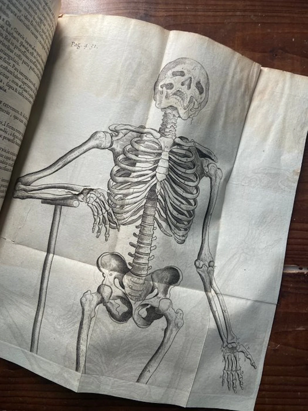 Thomas Bartholin - Institutiones Anatomicae - 1654