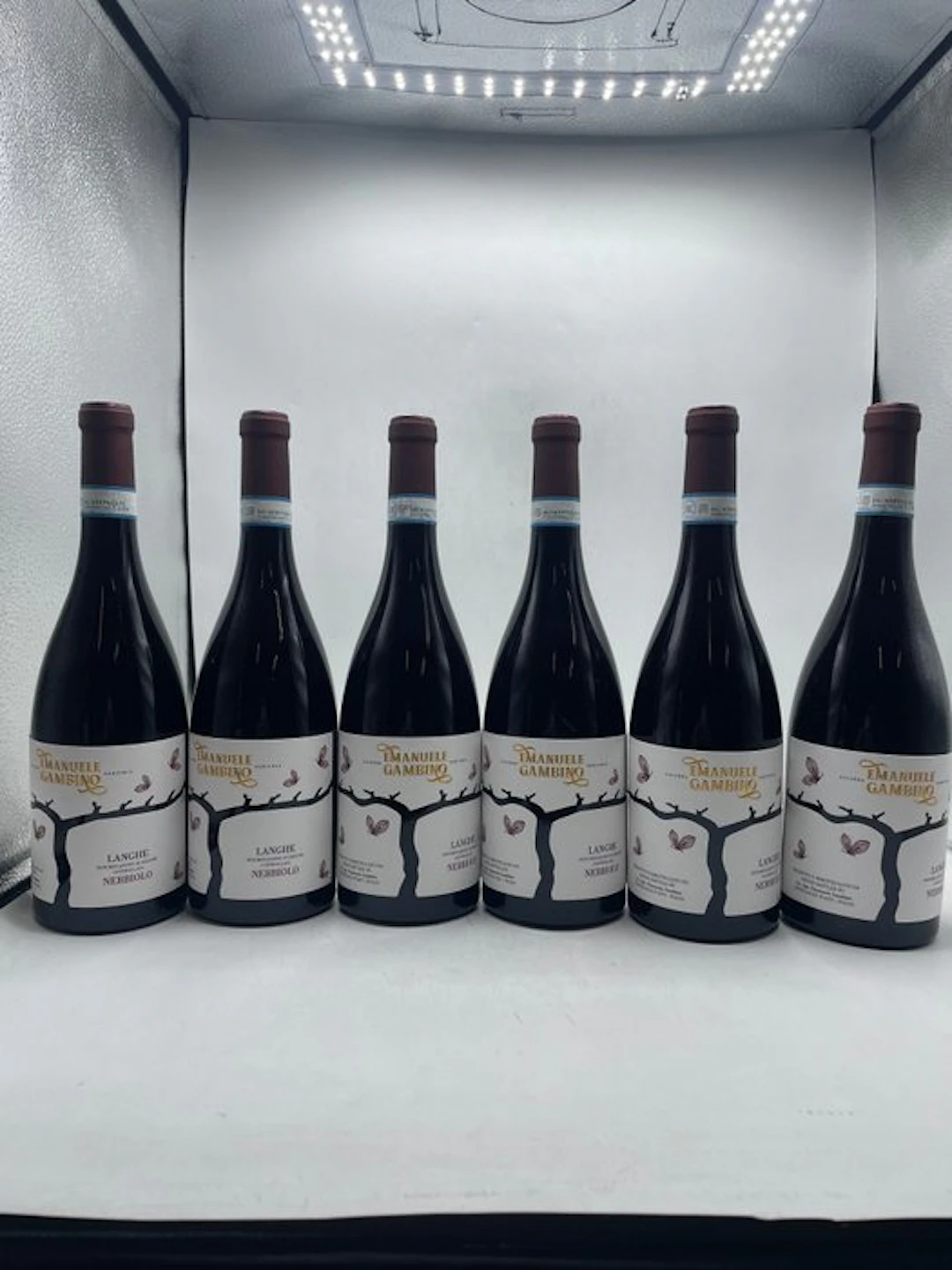 2023 Emanuele Gambino Nebbiolo - Piedmont - 6 Bottles (0.75L)