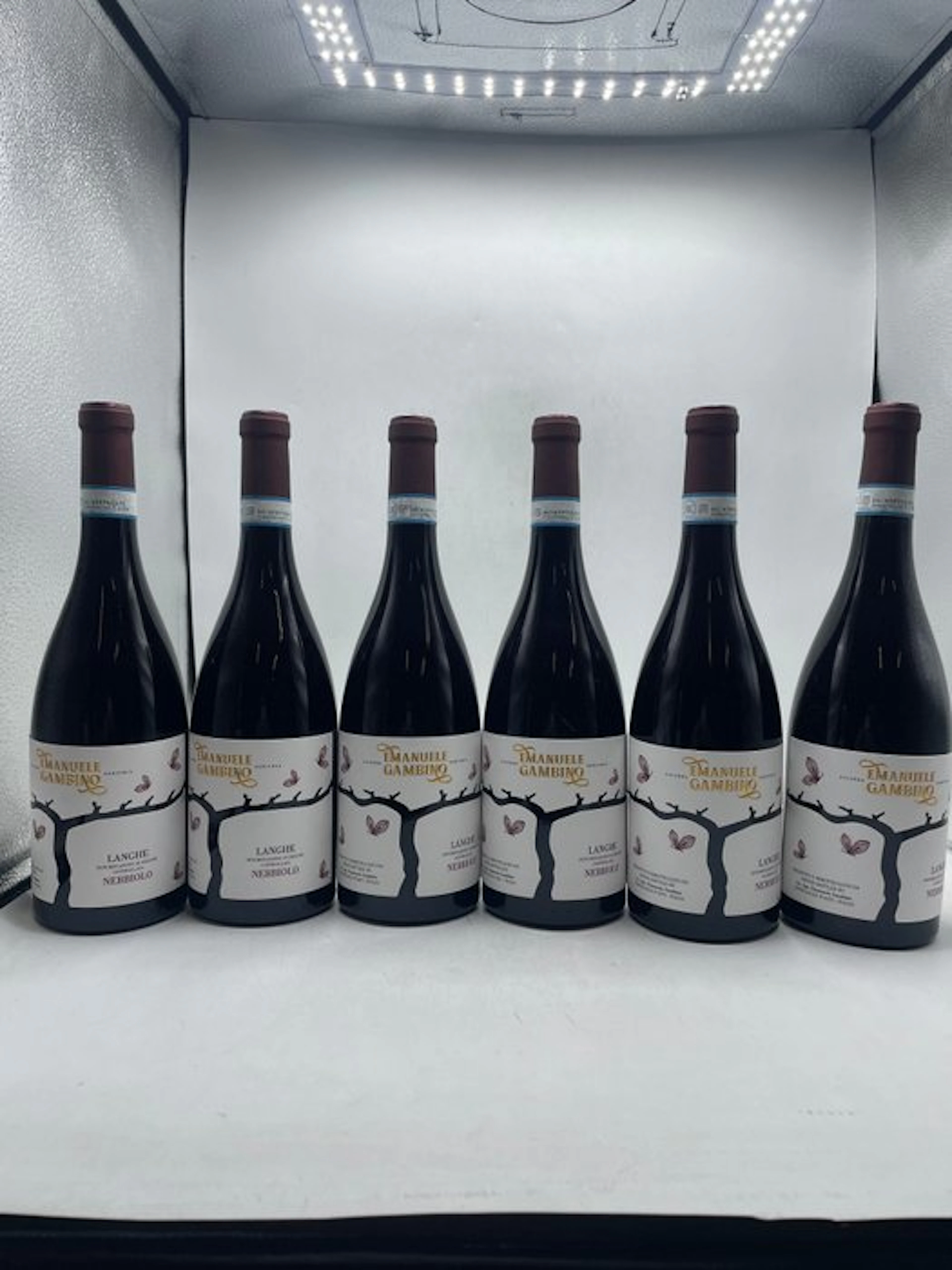2023 Emanuele Gambino Nebbiolo - Piedmont - 6 Bottles (0.75L)