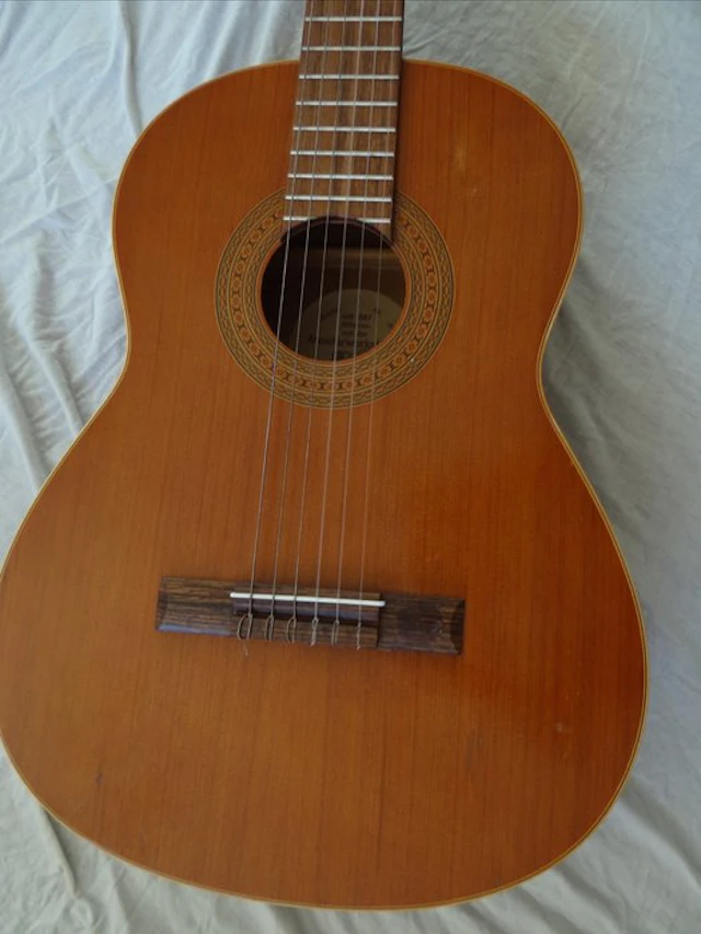 Höfner - Höfner Hz 23 Meisterwerkstätte - - Acoustic...
