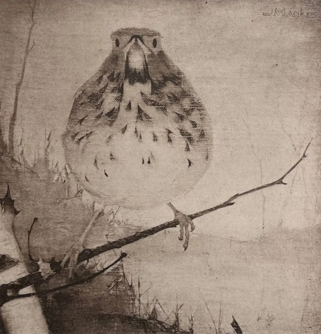 Jan Mankes (1889-1920) - Lijster op tak