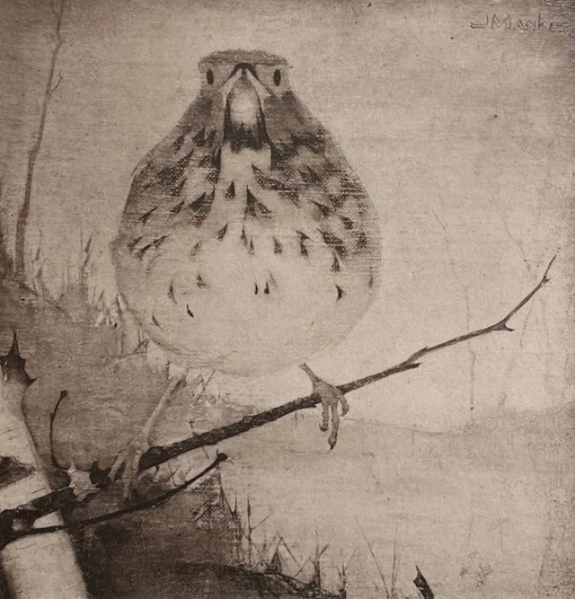 Jan Mankes (1889-1920) - Lijster op tak