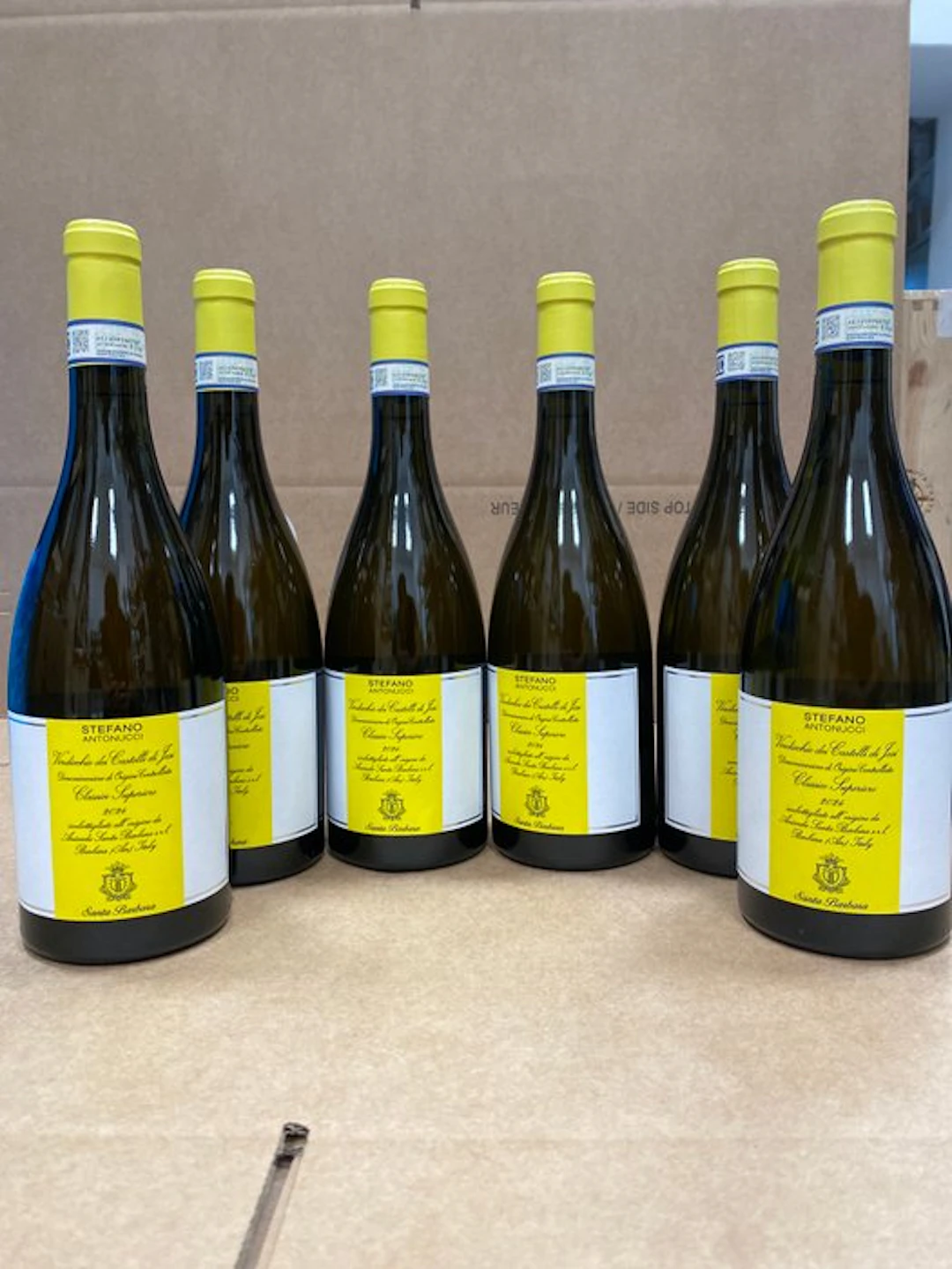 2024 Santa Barbara Stefano Antonucci
