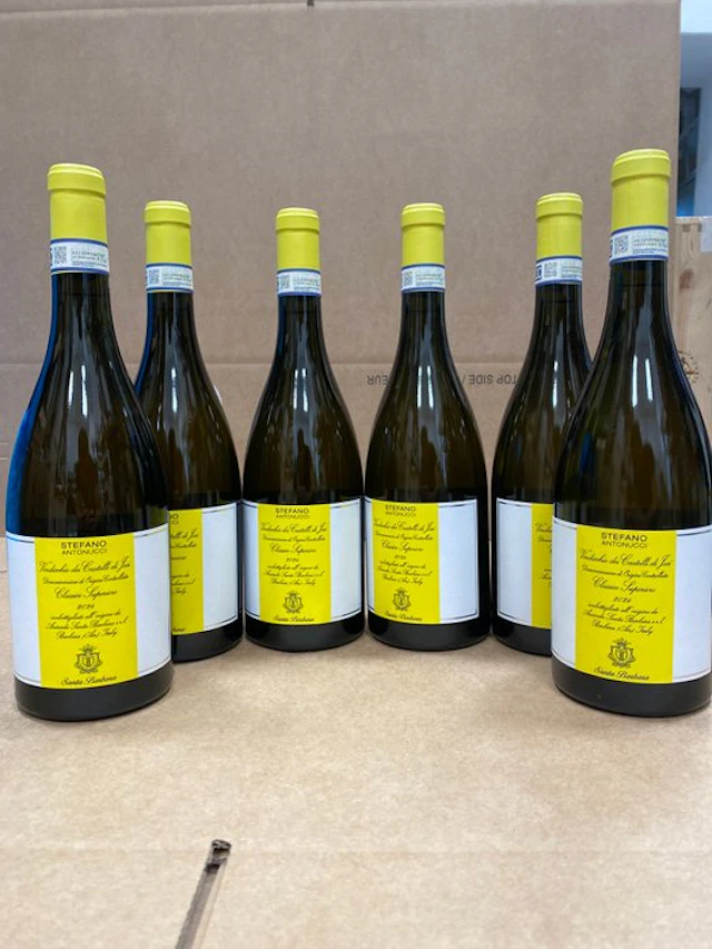 2024 Santa Barbara Stefano Antonucci