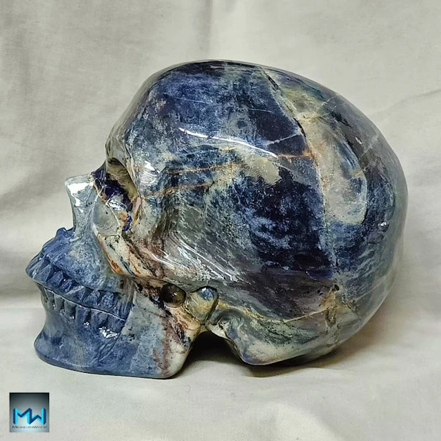 8" Enormous Human Skull