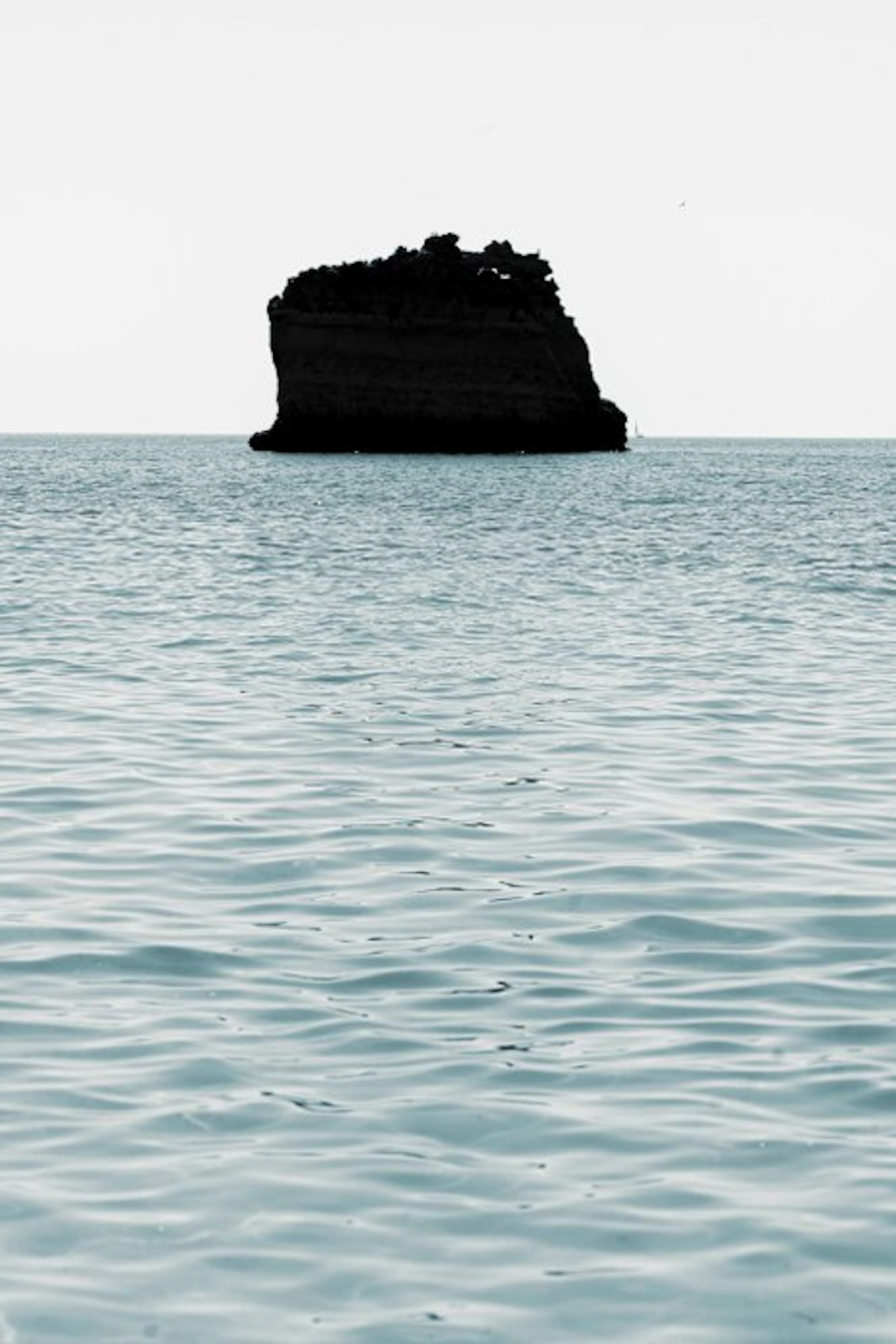 Jorge Omeñaca - Future island