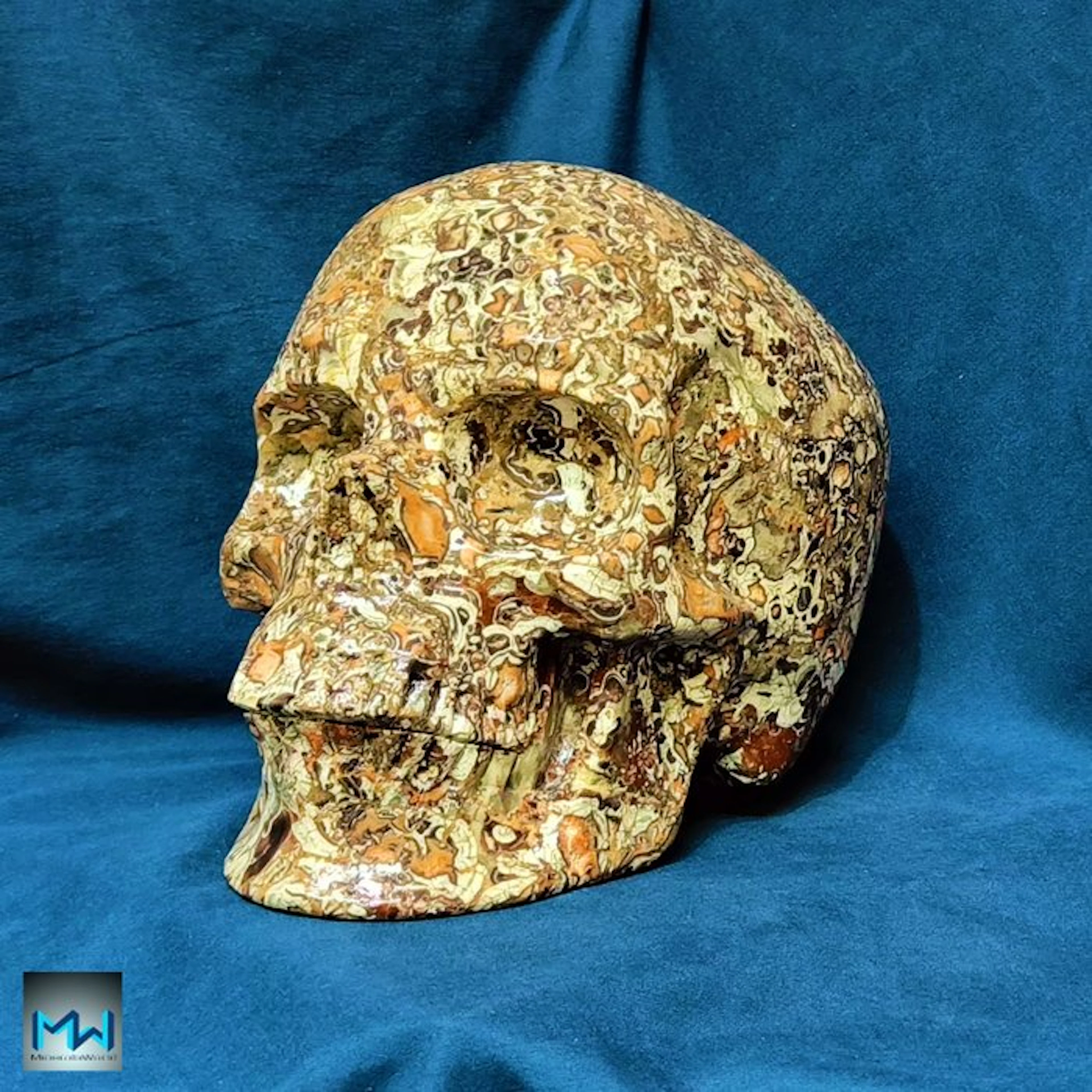 8" Huge Human Skull