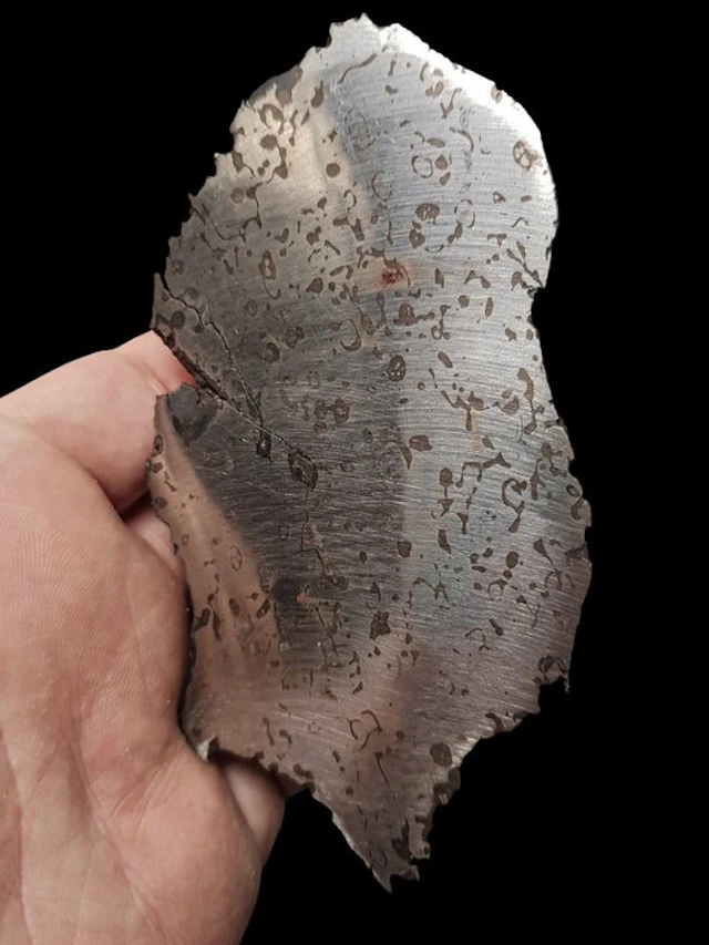 Dronino meteorite Iron meteorite - Height: 13.5 cm - Width: 6.5 cm - 102 g