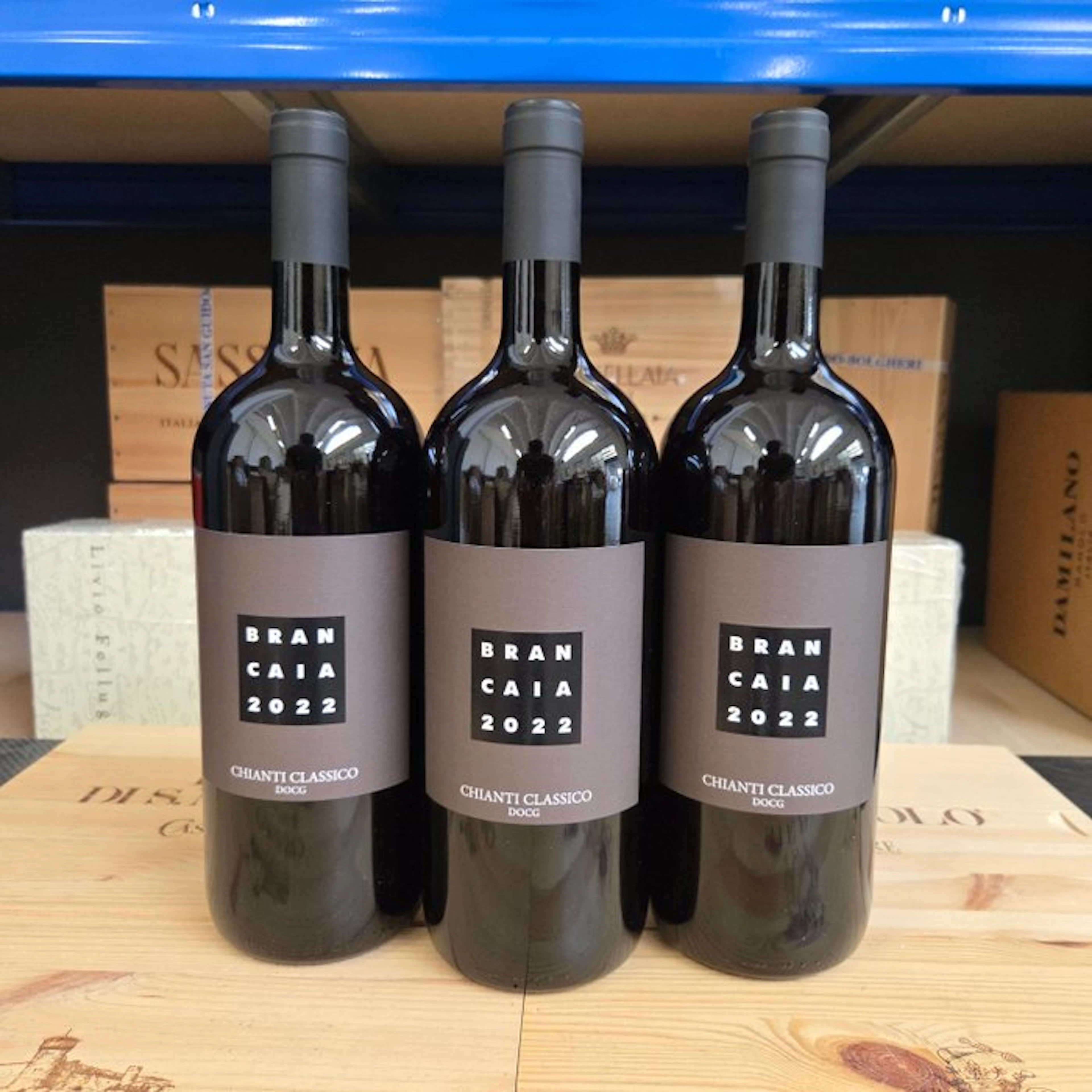 2022 Brancaia - Chianti Classico DOCG - 3 Magnums (1.5L)
