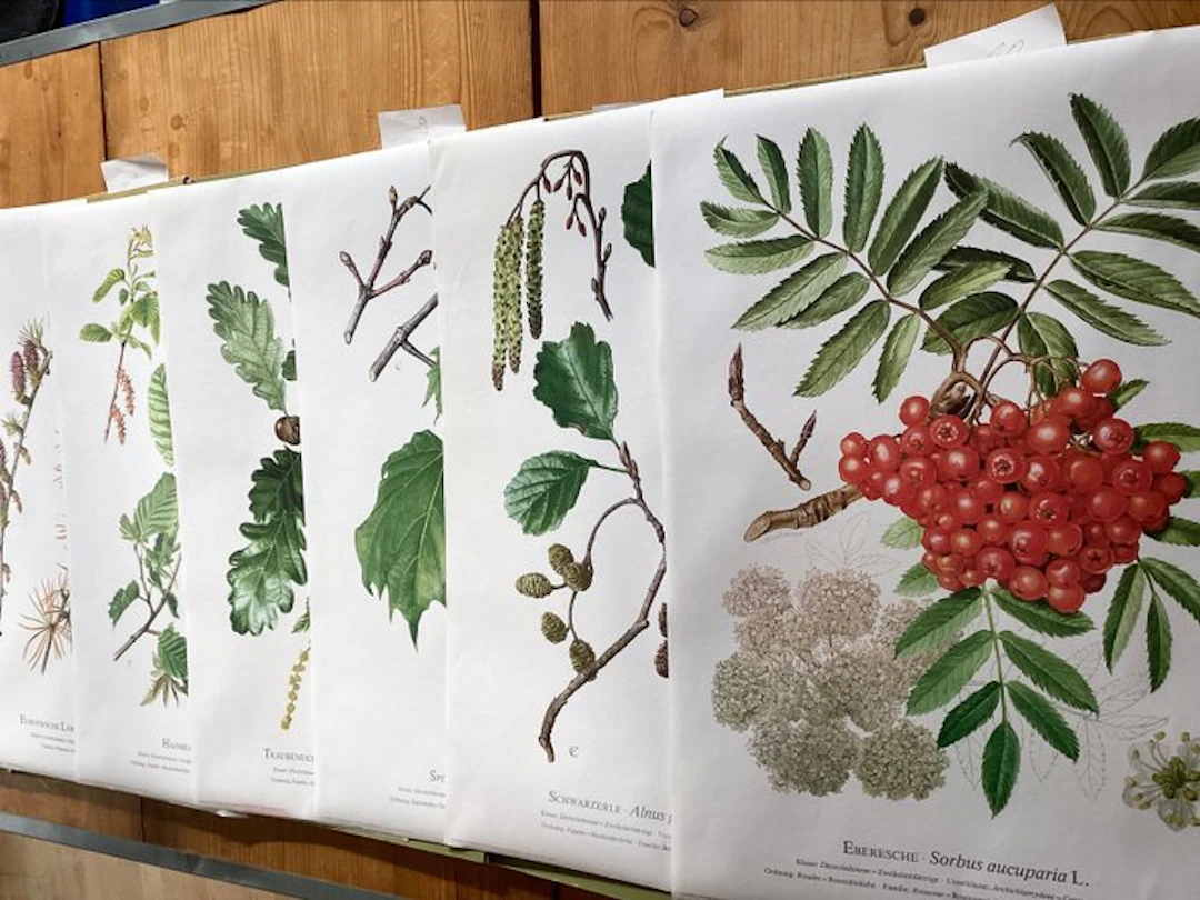 Kronen Verlag - Cramer's Natural History Instructional...