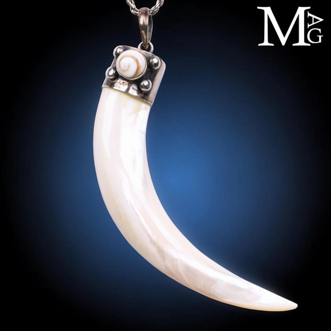 Iridescent Mother-of-Pearl with a Natural Spiral Shiva's...