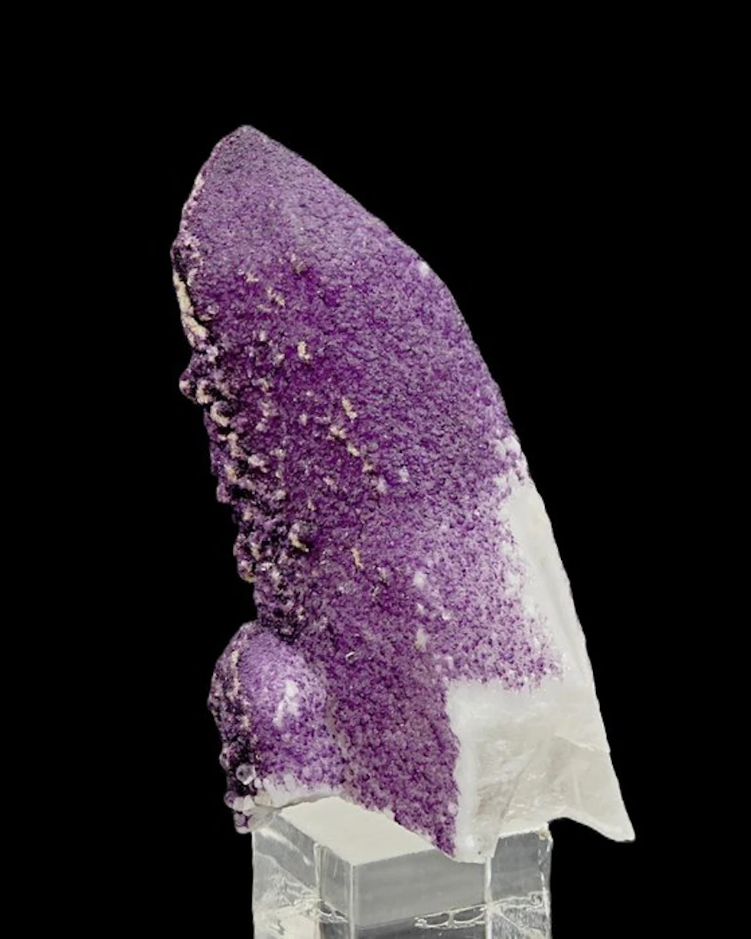 NEW DISCOVERY! EXTREMELY RARE MILKY QUARTZ COVERED BY PURPLE FLUORITE